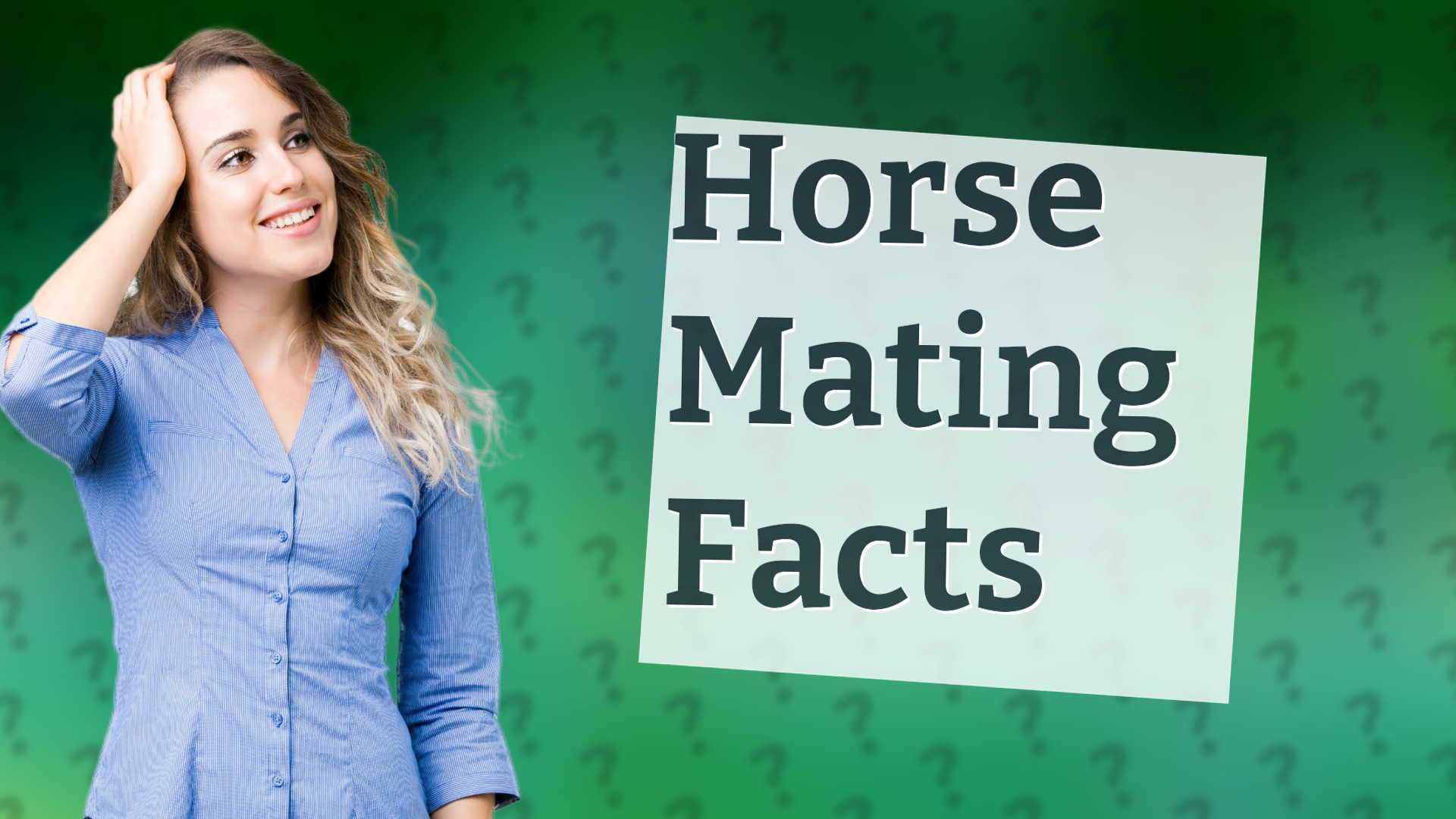 Horse Mating Facts