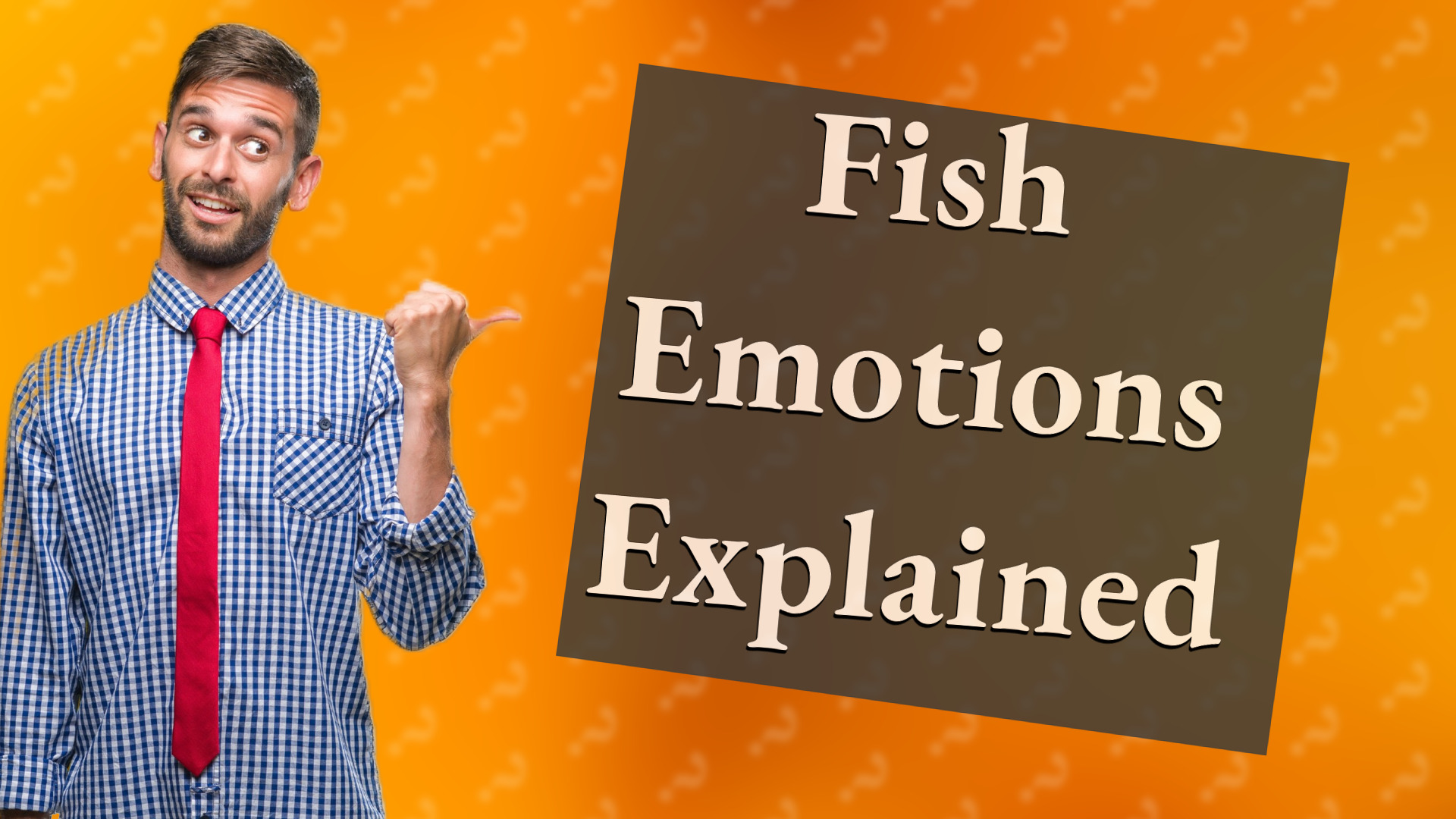 Fish Emotions Explained