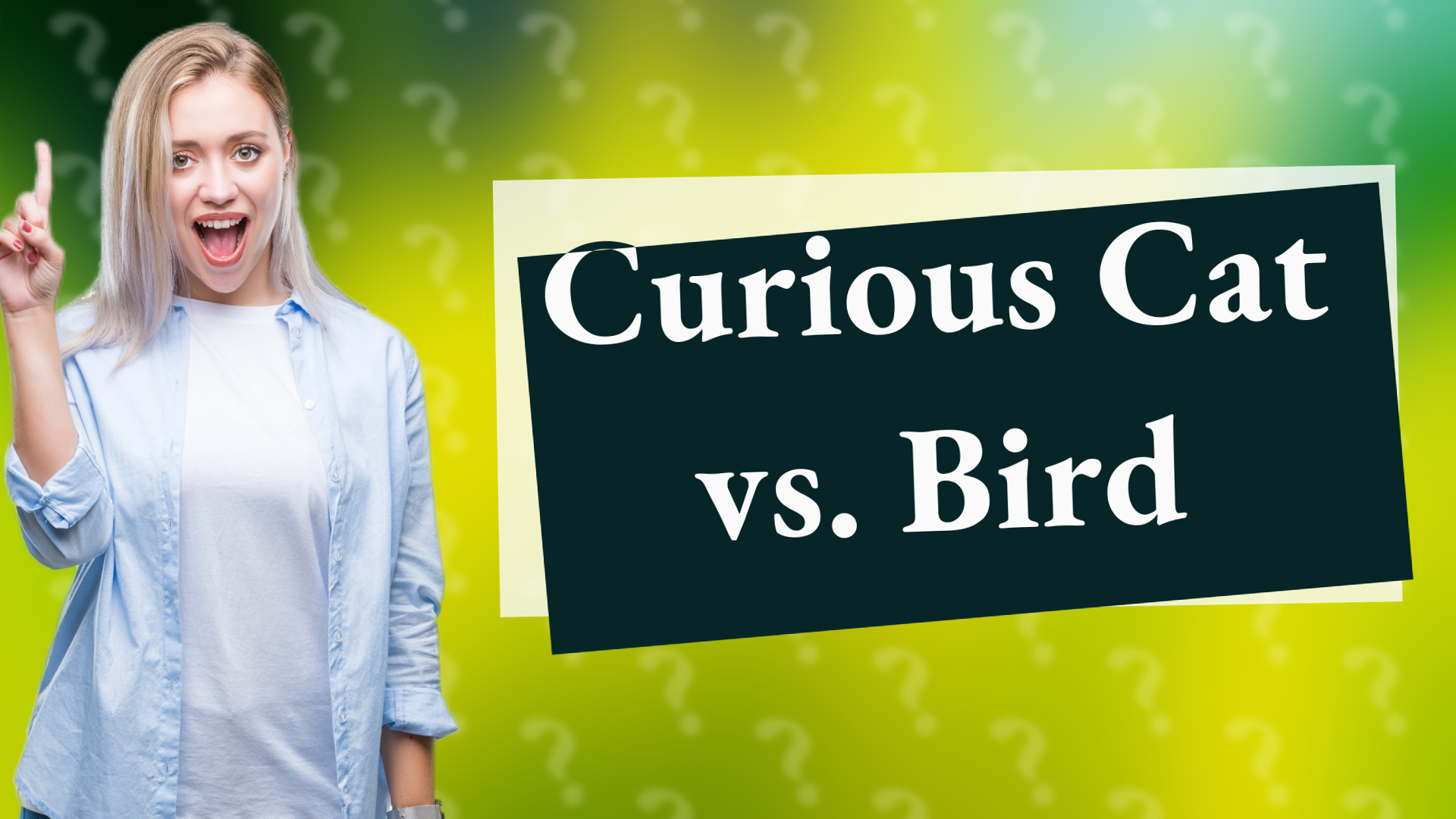 Curious Cat vs. Bird
