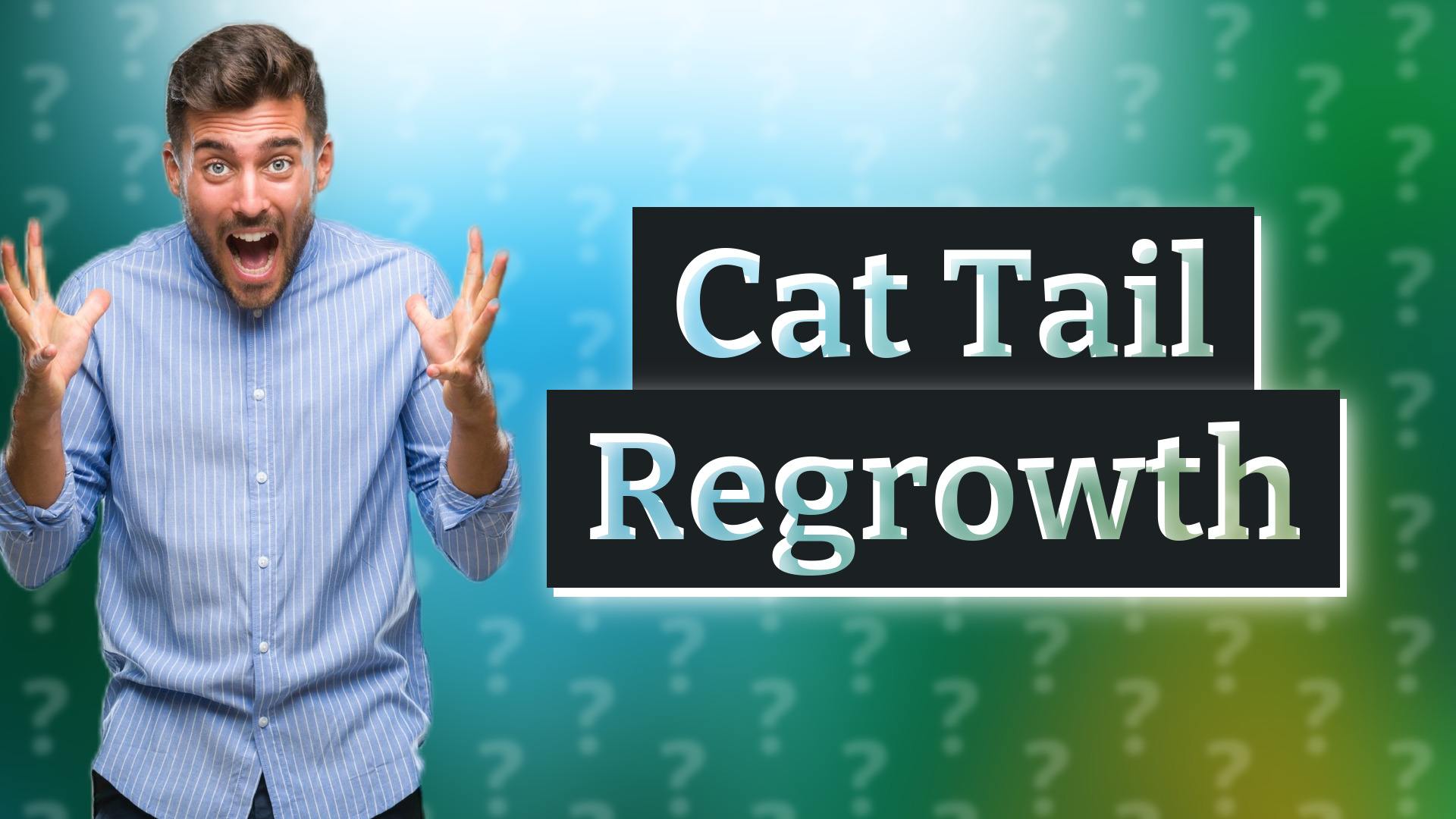 Cat Tail Regrowth
