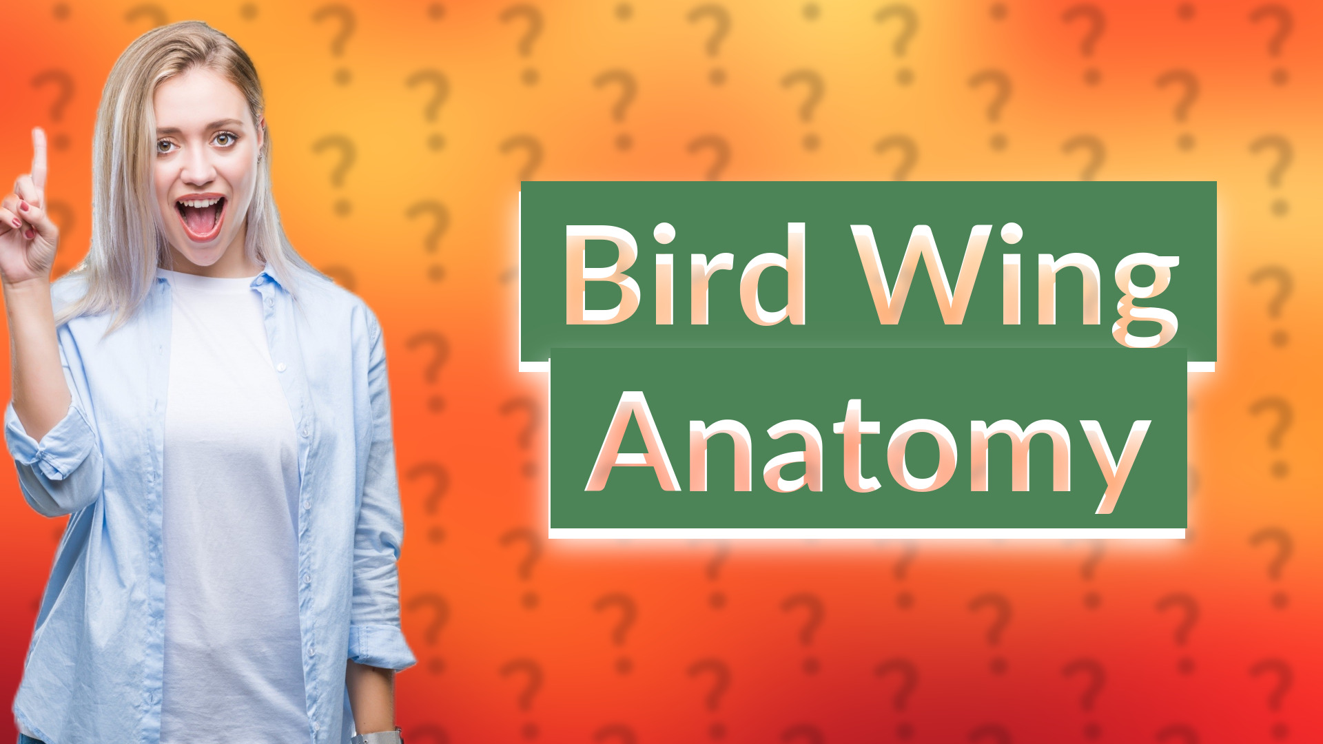 Bird Wing Anatomy