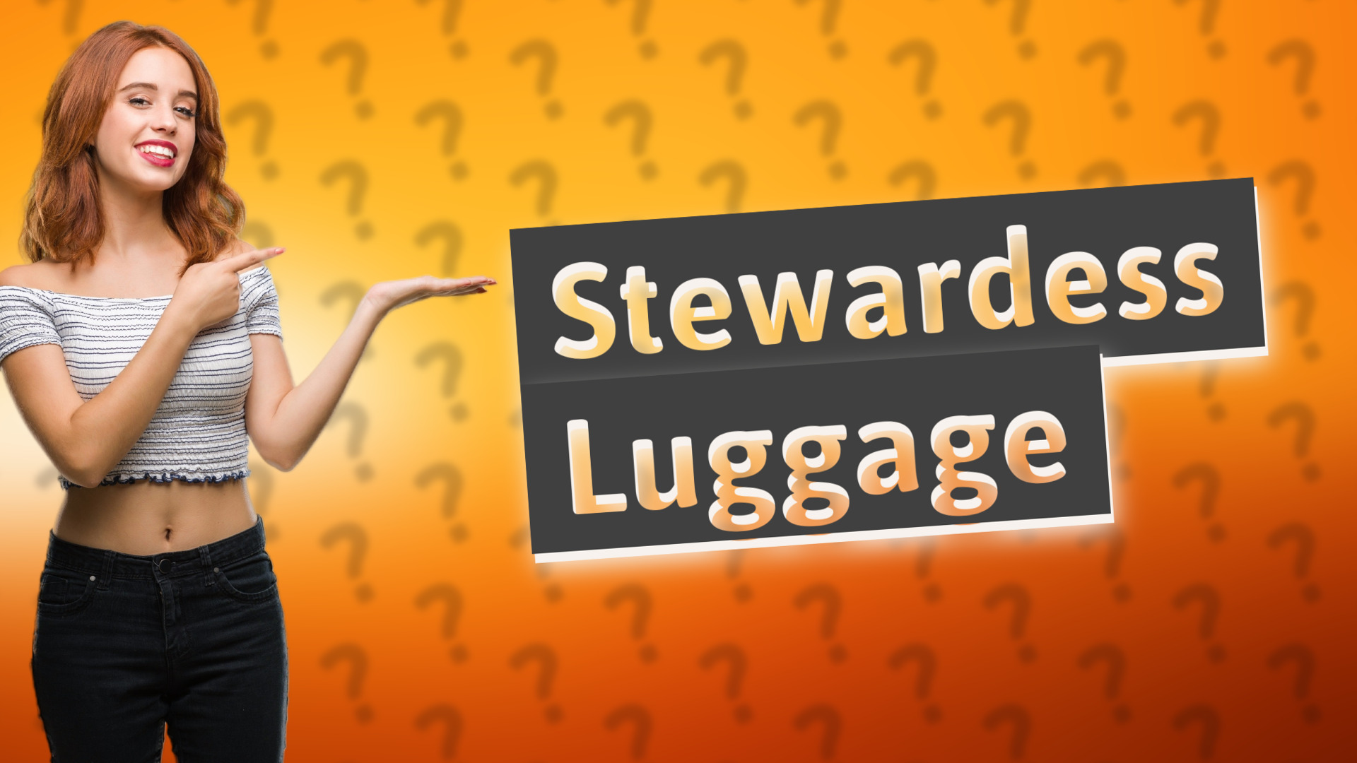 Stewardess Luggage