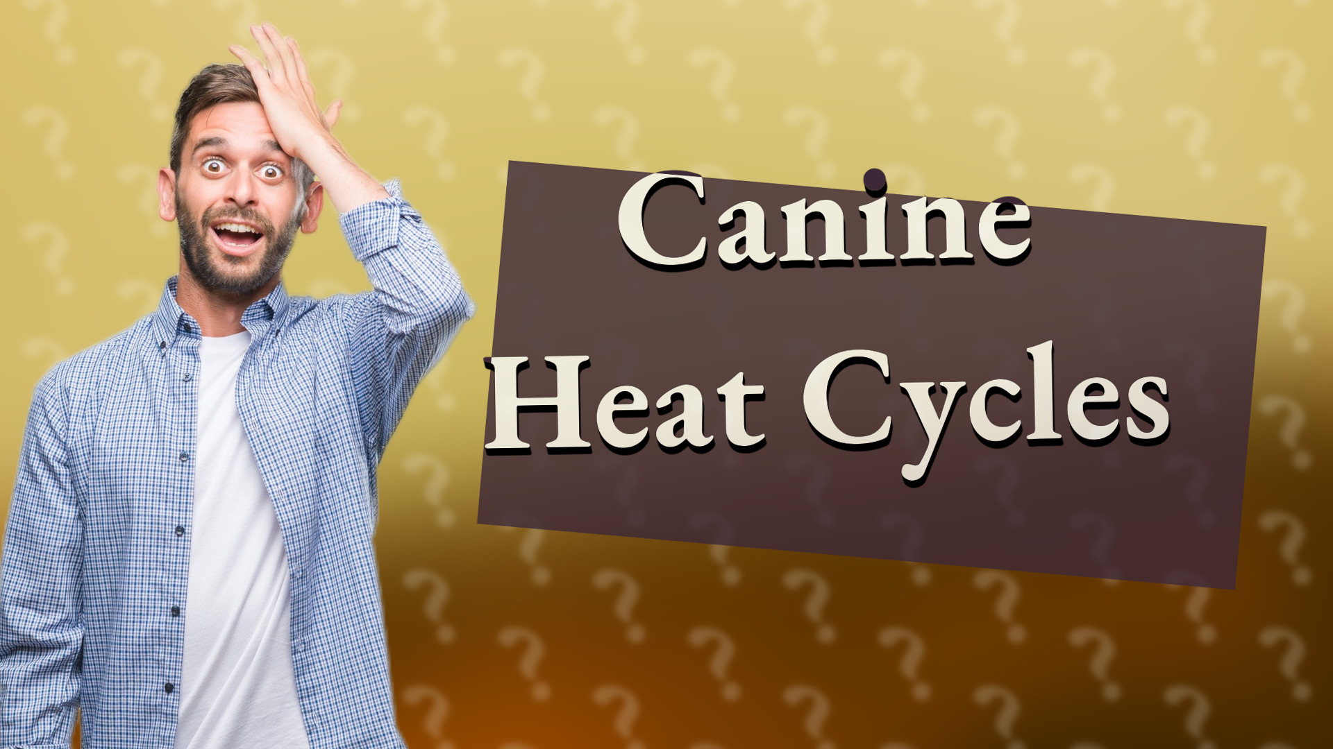 Canine Heat Cycles