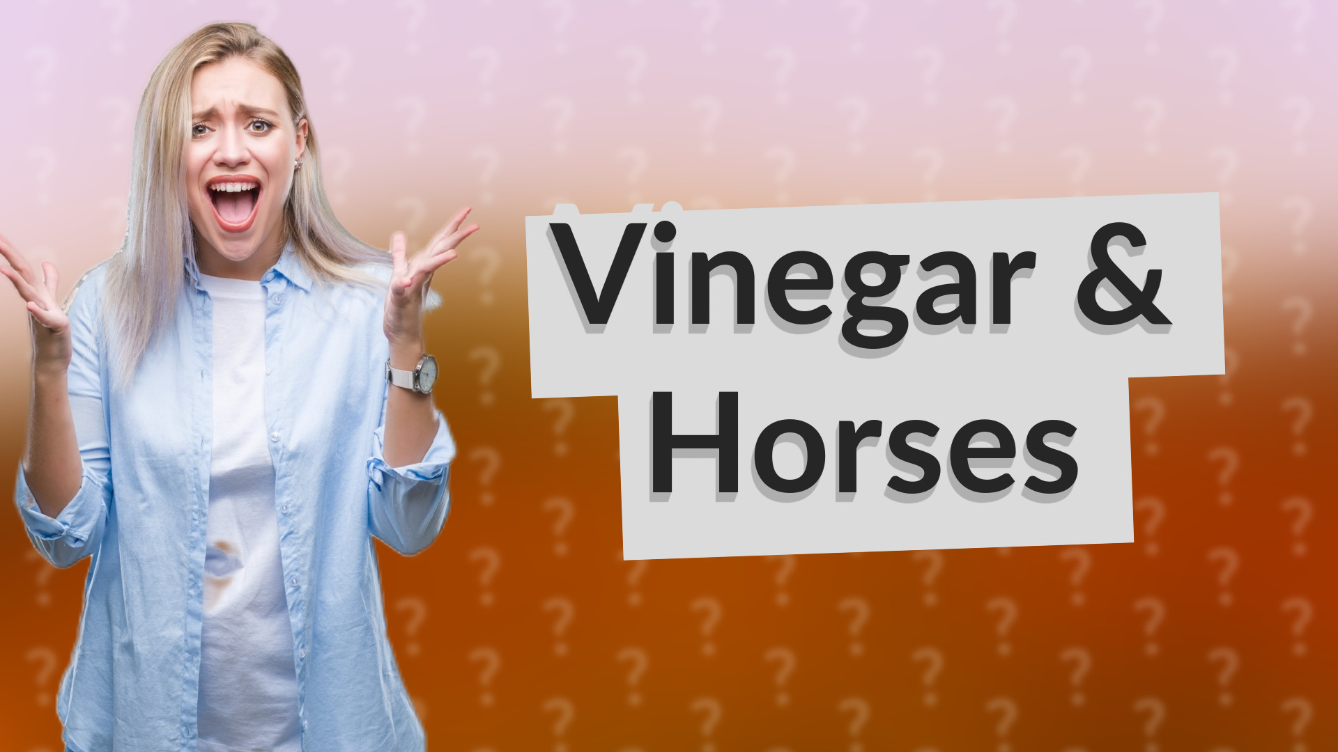 Vinegar & Horses