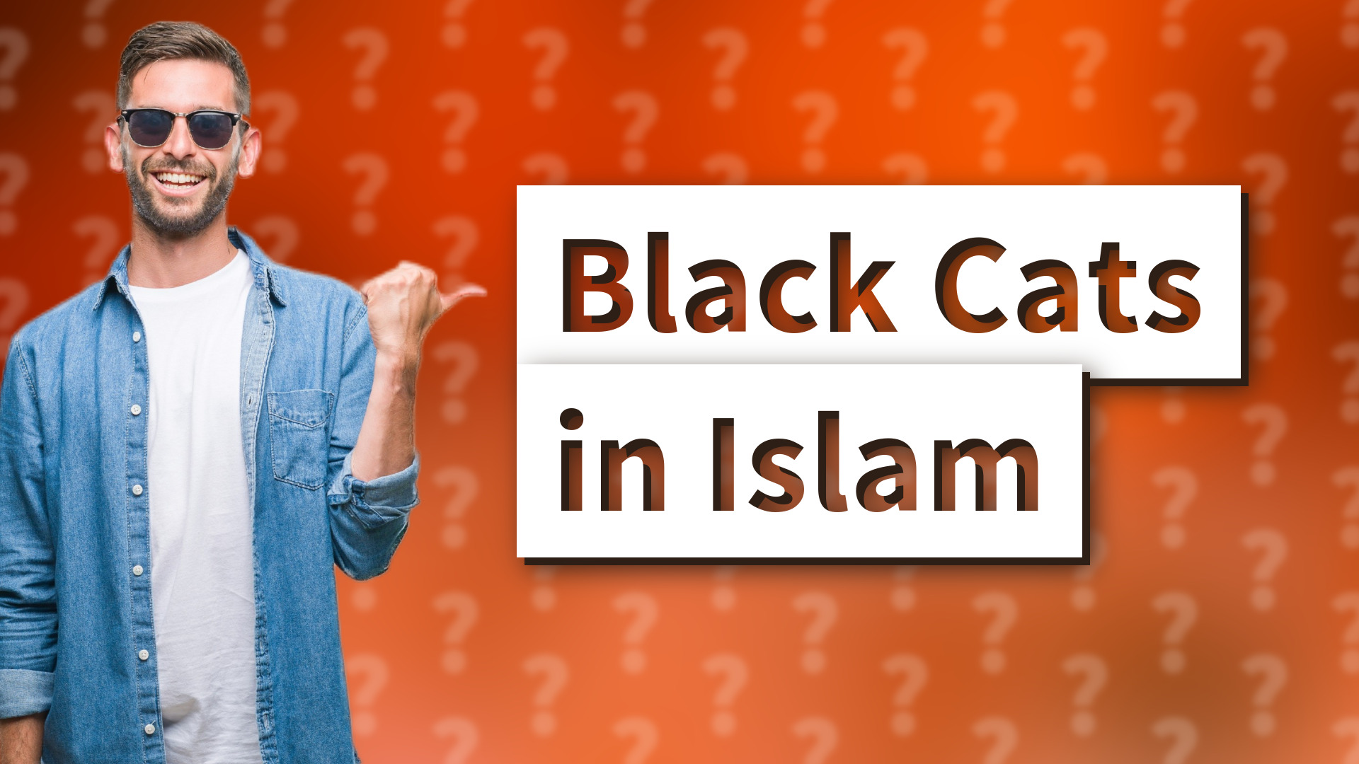 Black Cats in Islam