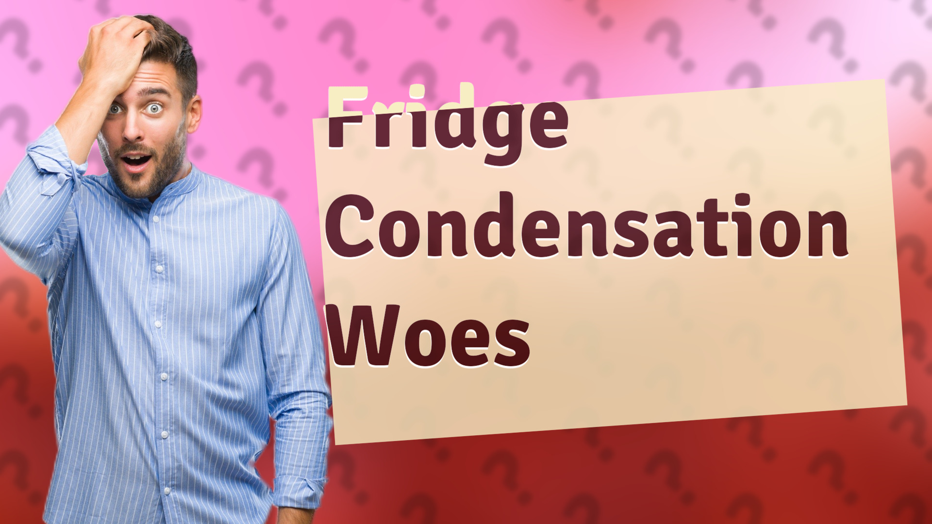 Fridge Condensation Woes