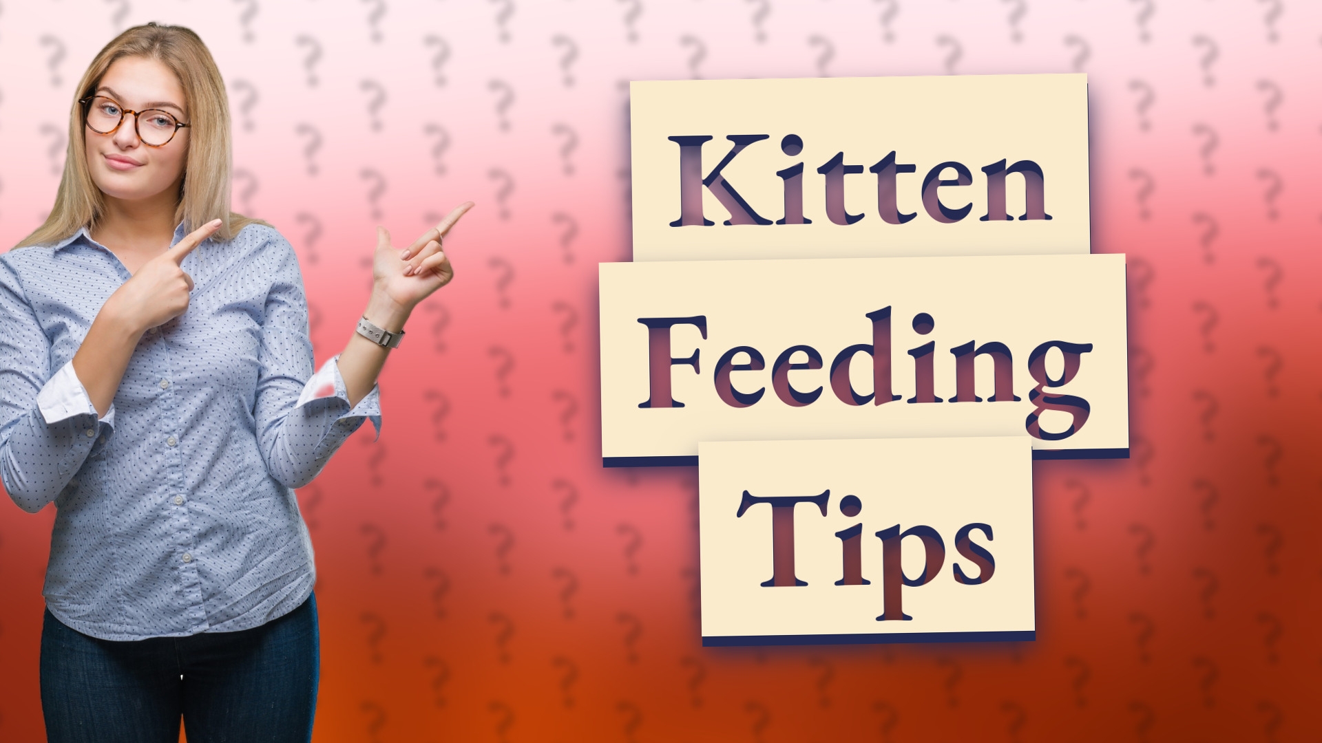 Kitten Feeding Tips
