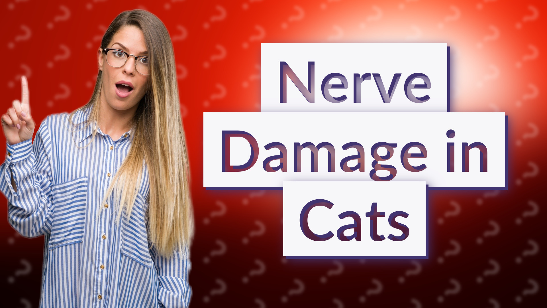Nerve Damage in Cats