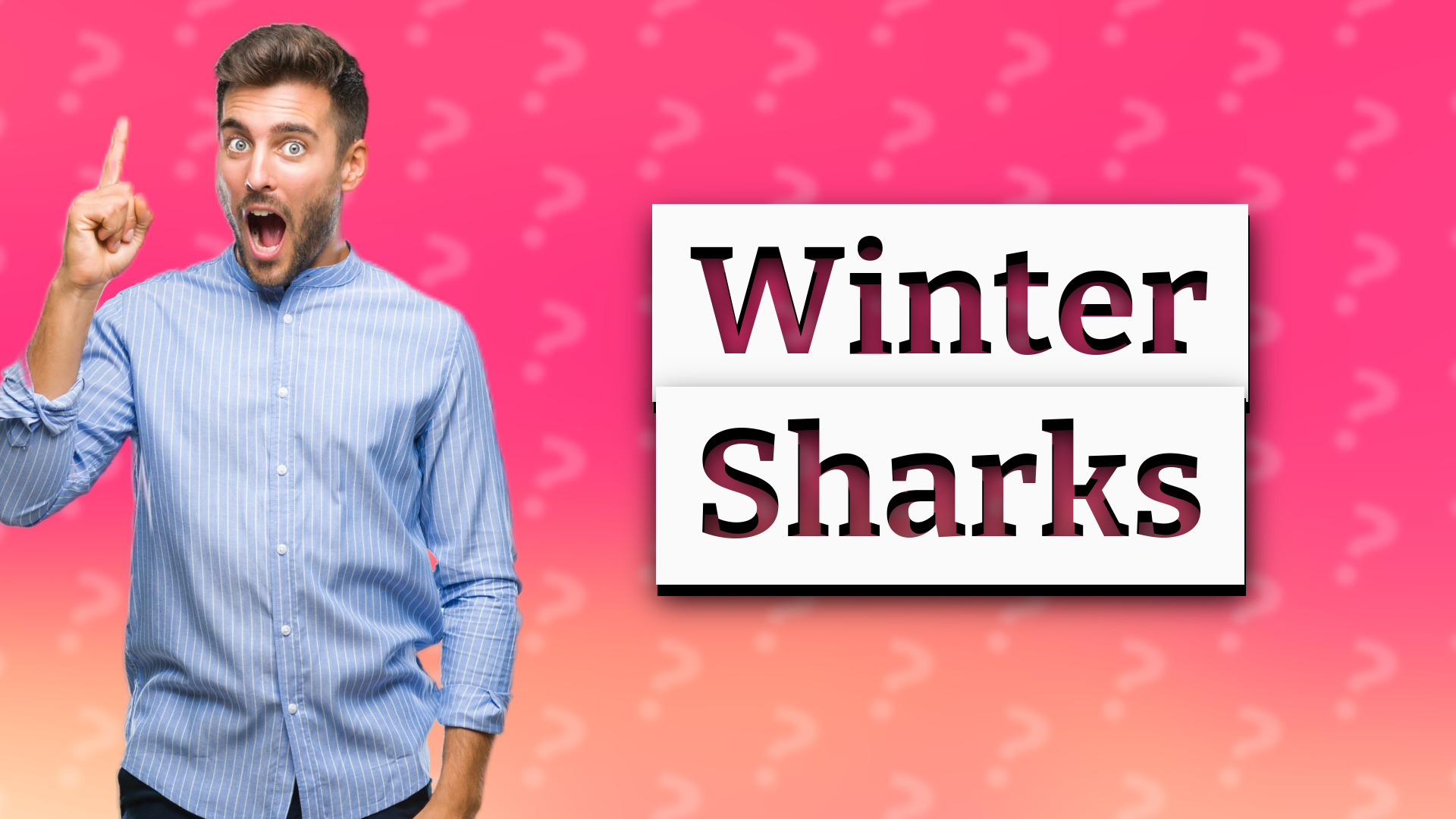 Winter Sharks