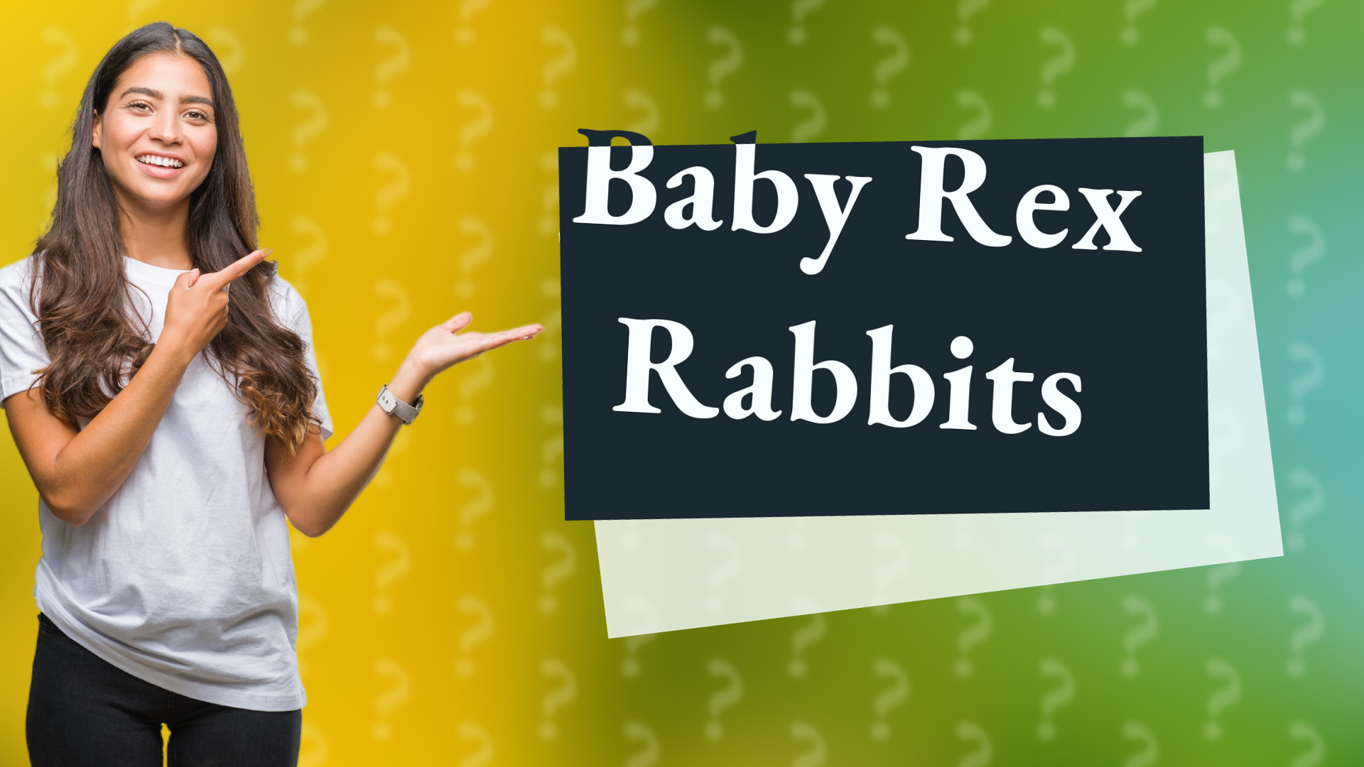 Baby Rex Rabbits