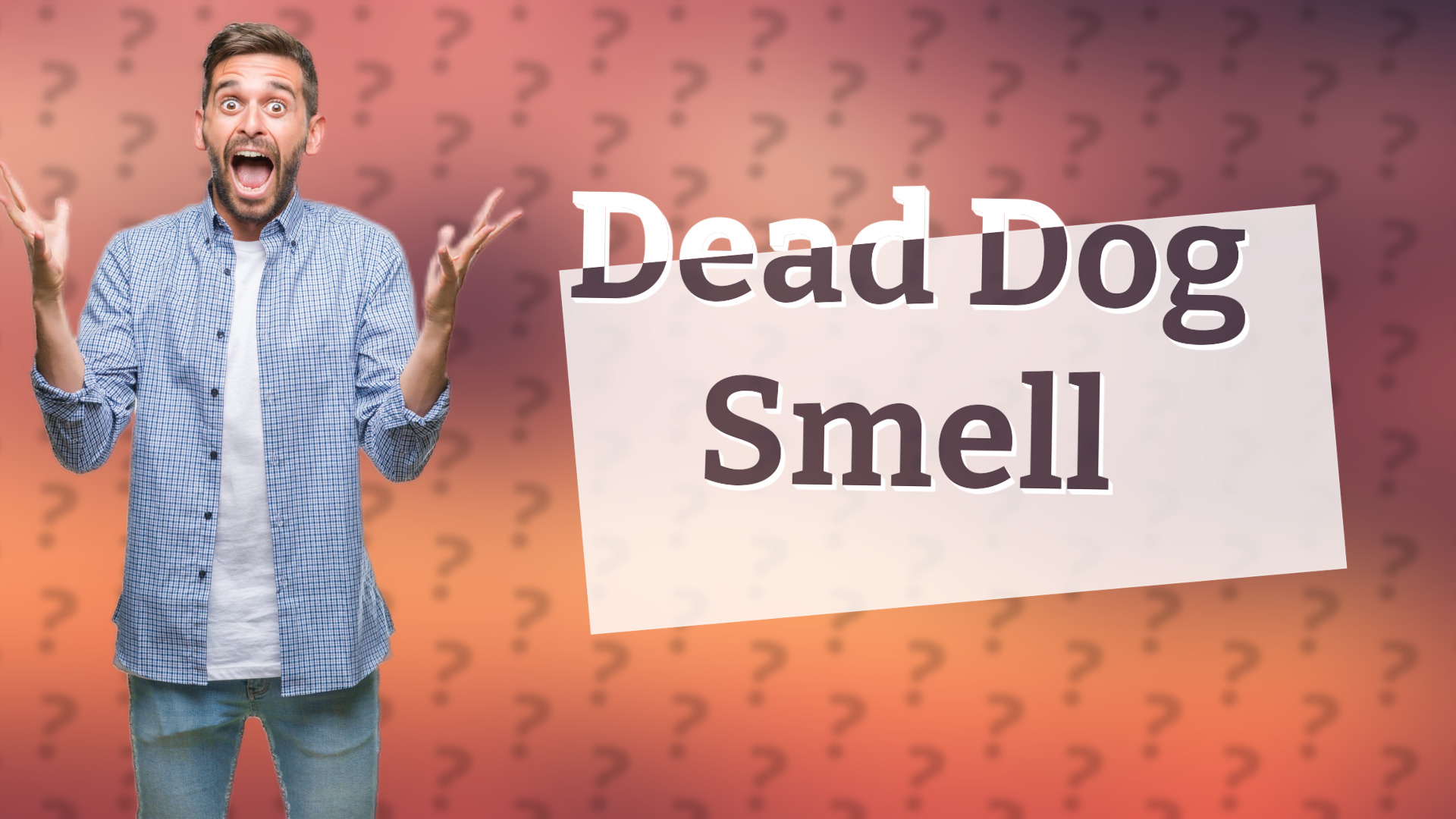 Dead Dog Smell