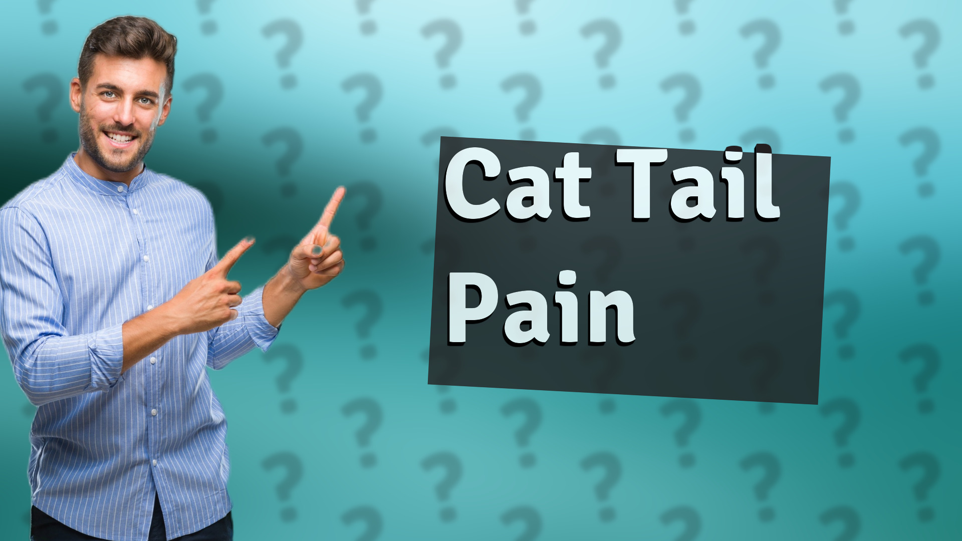 Cat Tail Pain
