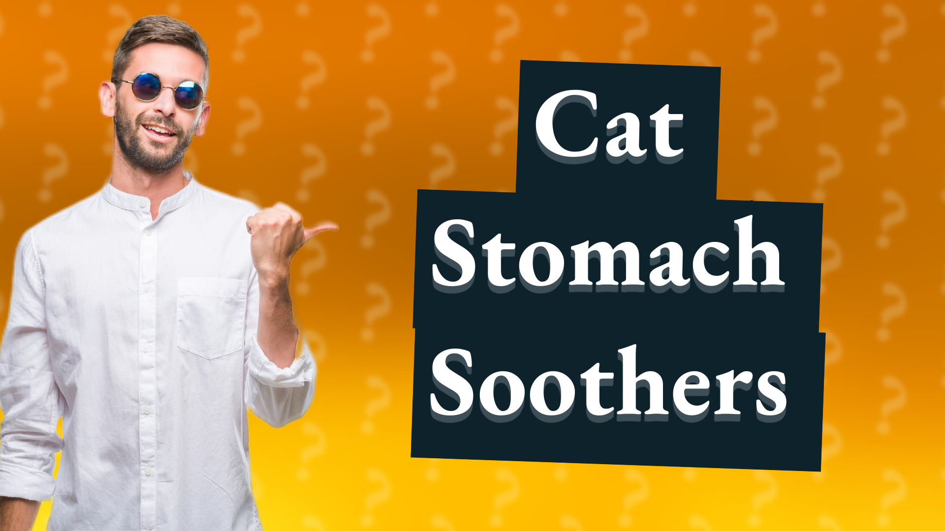 Cat Stomach Soothers