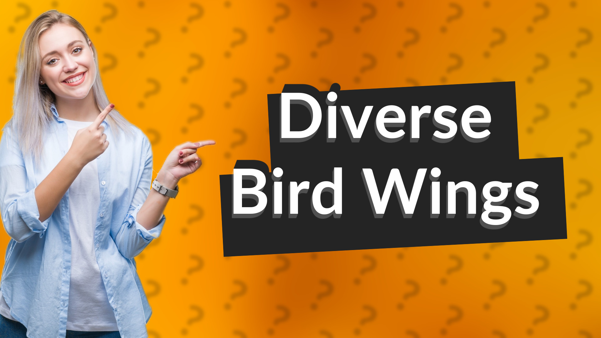 Diverse Bird Wings
