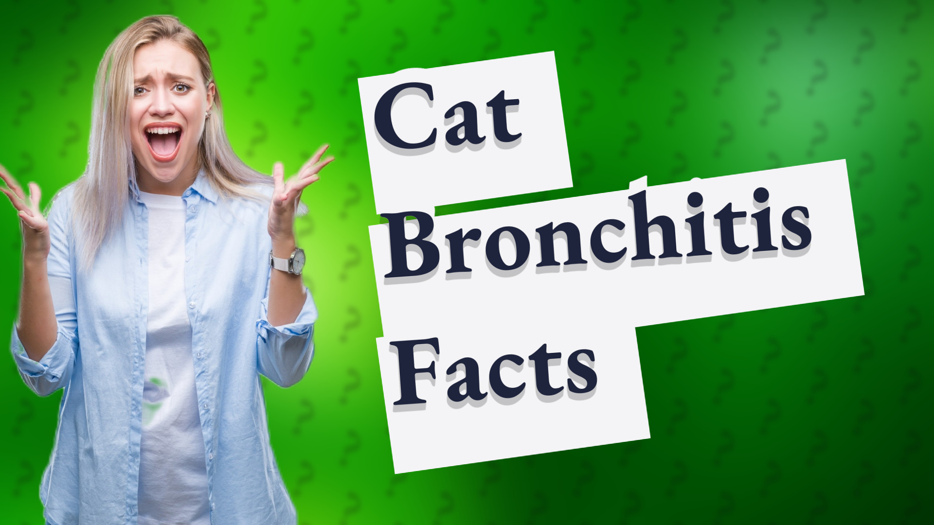 Cat Bronchitis Facts