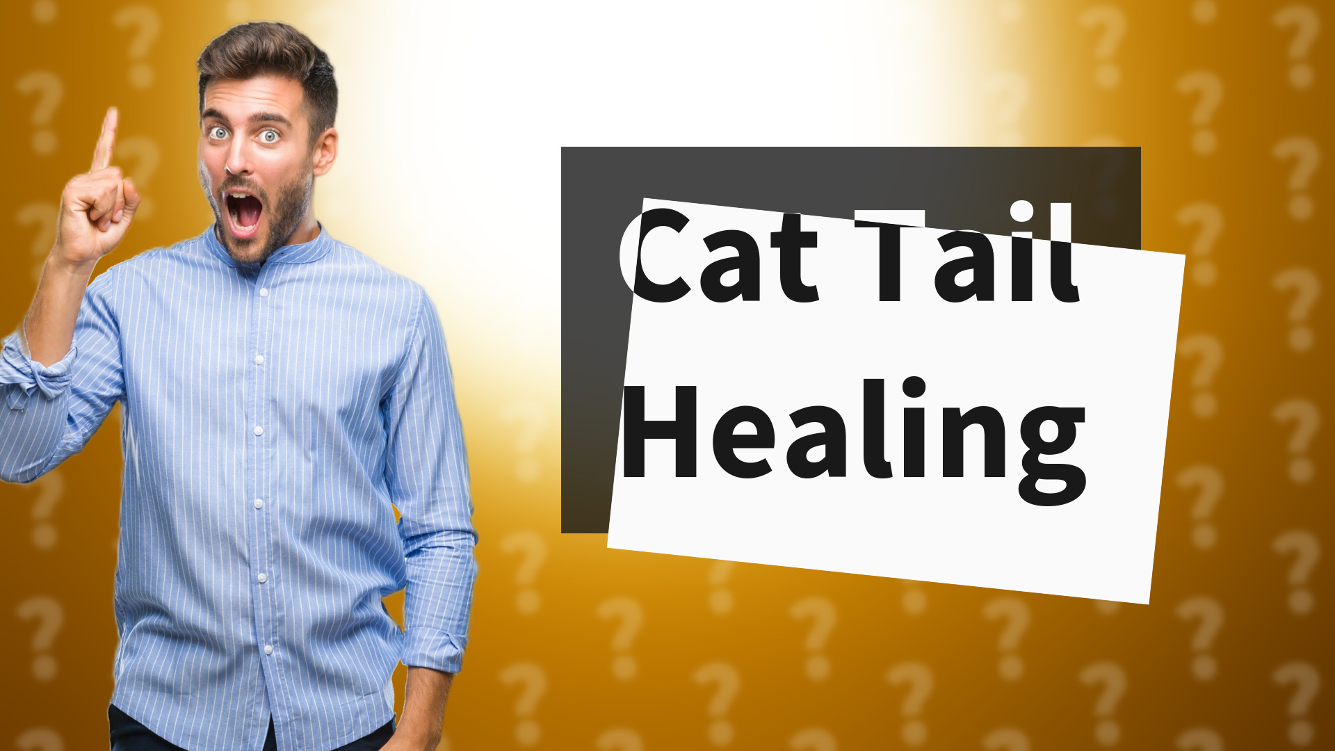 Cat Tail Healing