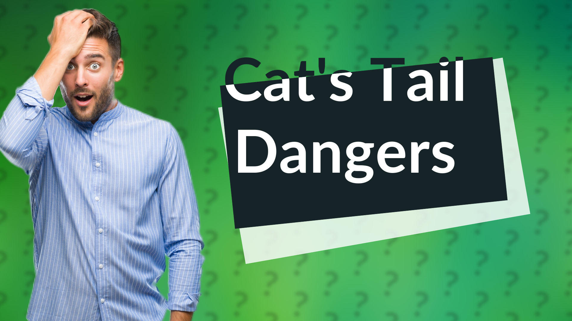 Cat's Tail Dangers