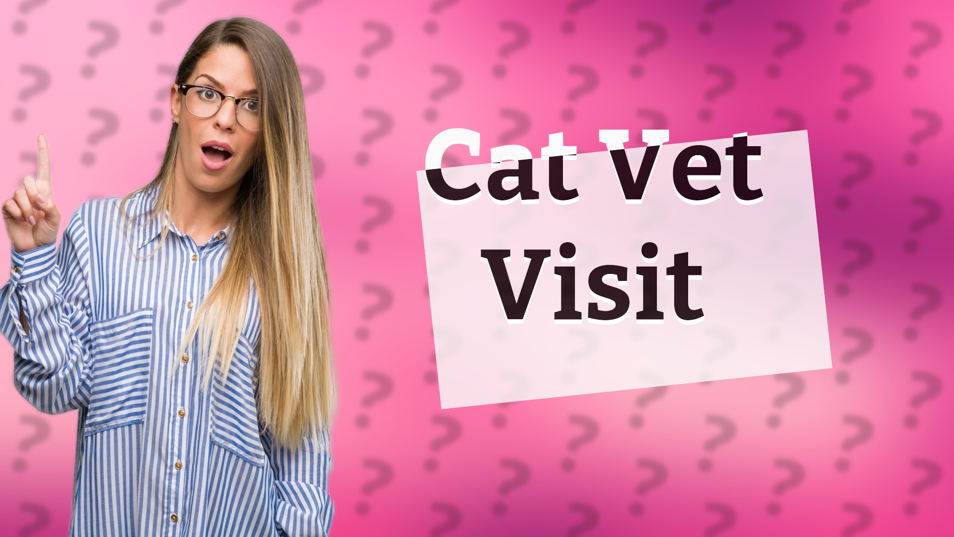 Cat Vet Visit