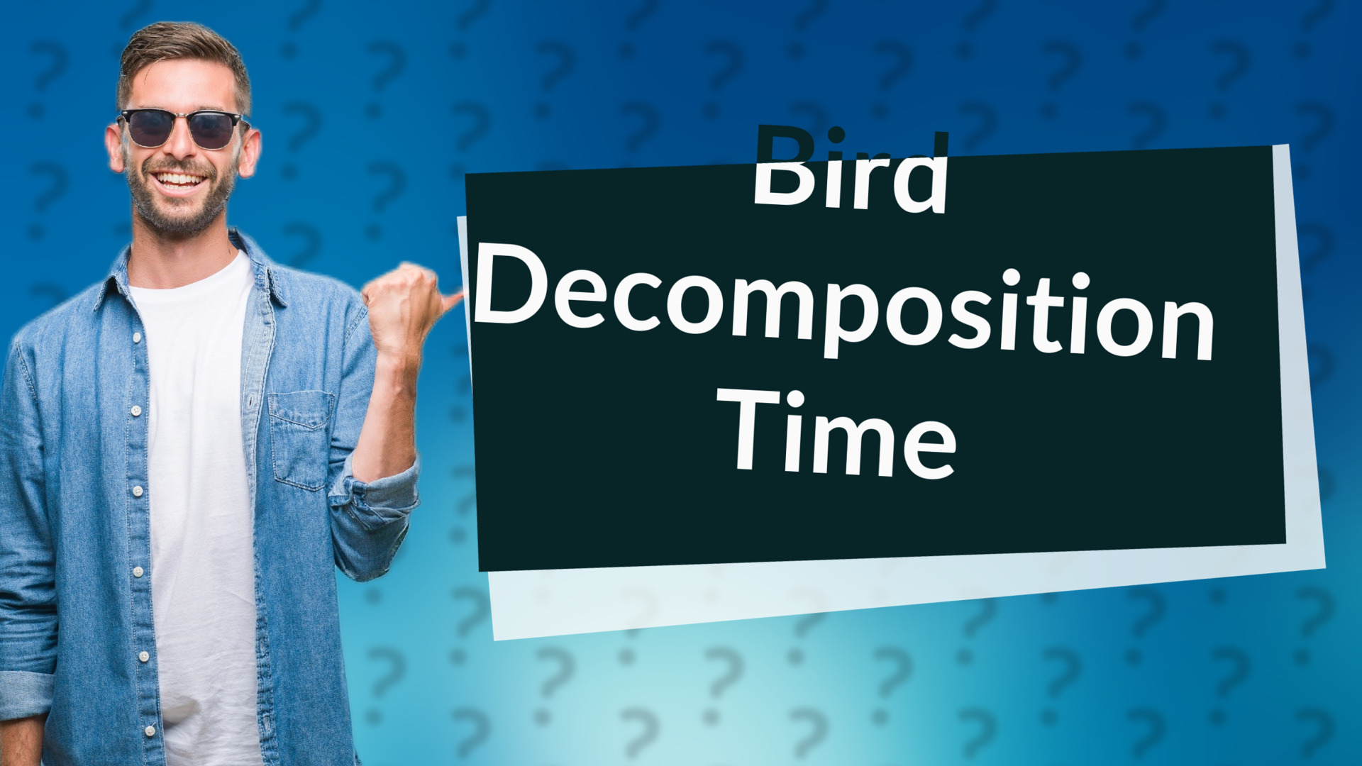 Bird Decomposition Time