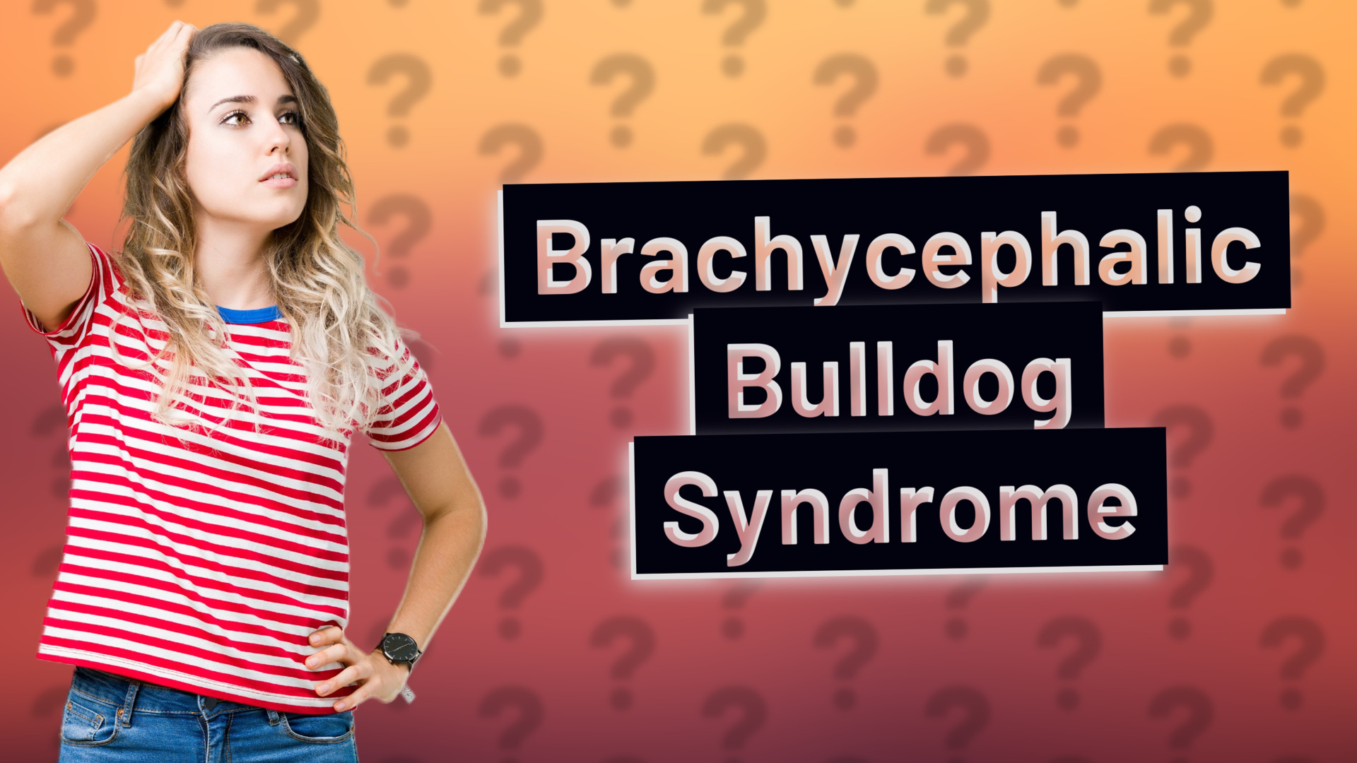 Brachycephalic Bulldog Syndrome
