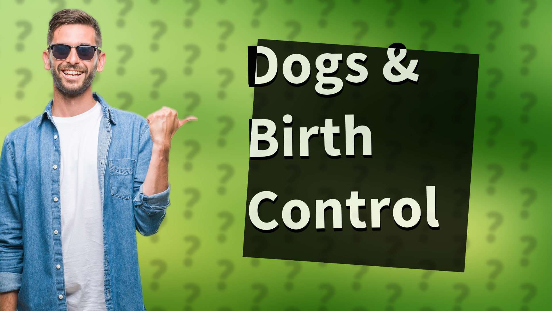 Dogs & Birth Control