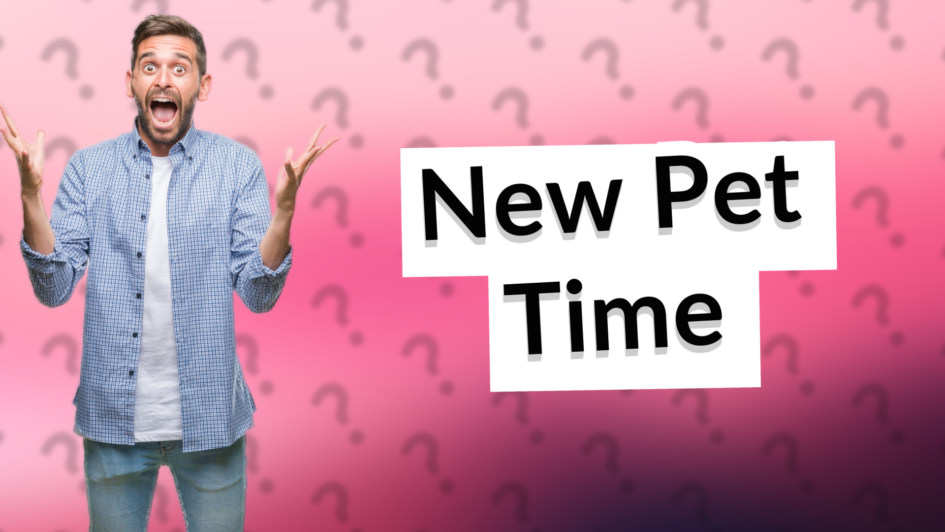 New Pet Time