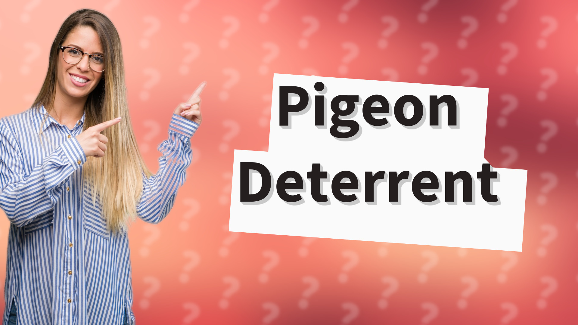 Pigeon Deterrent