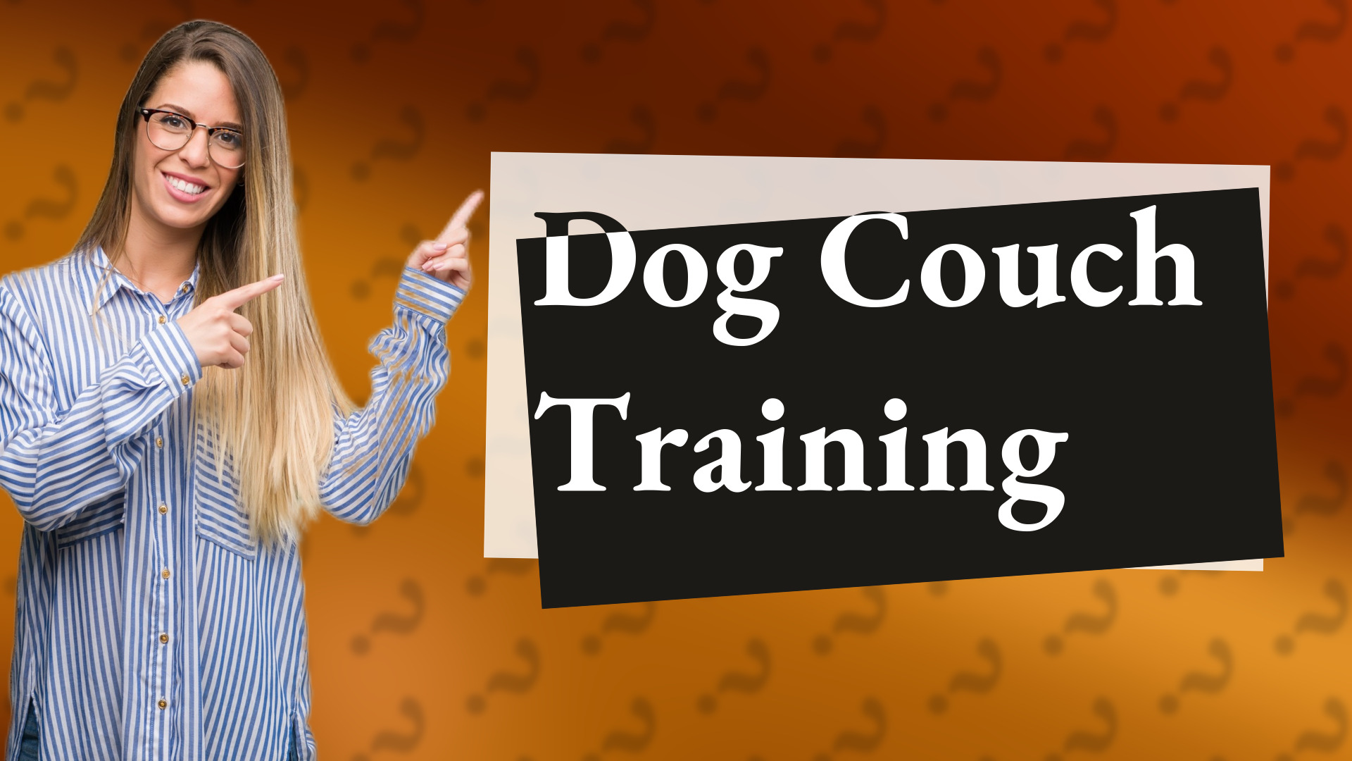 Dog Couch Training