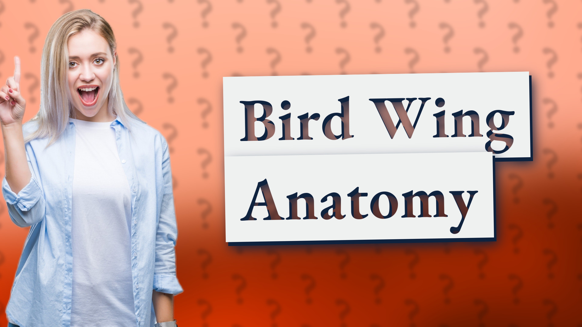 Bird Wing Anatomy