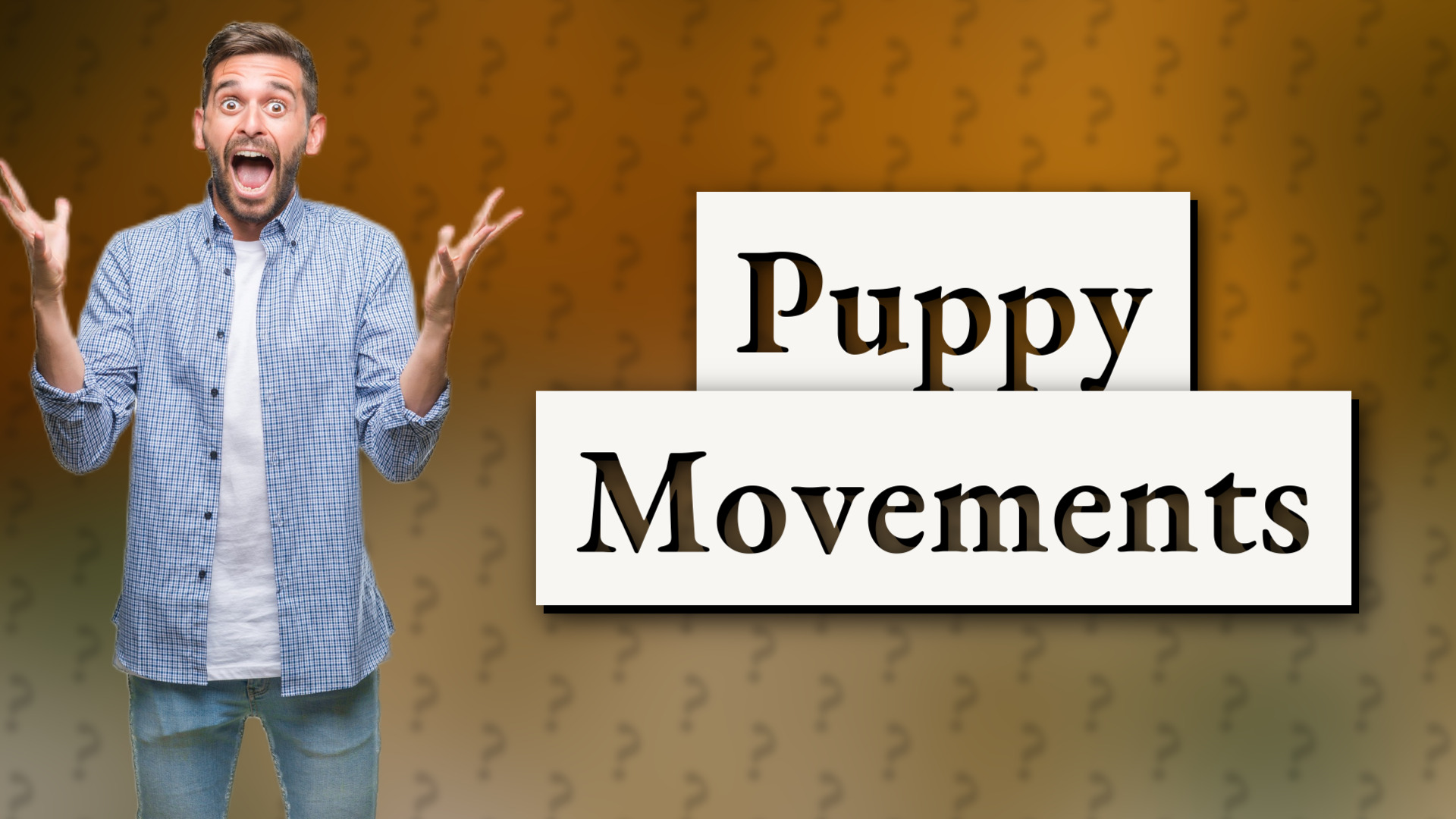 Puppy Movements