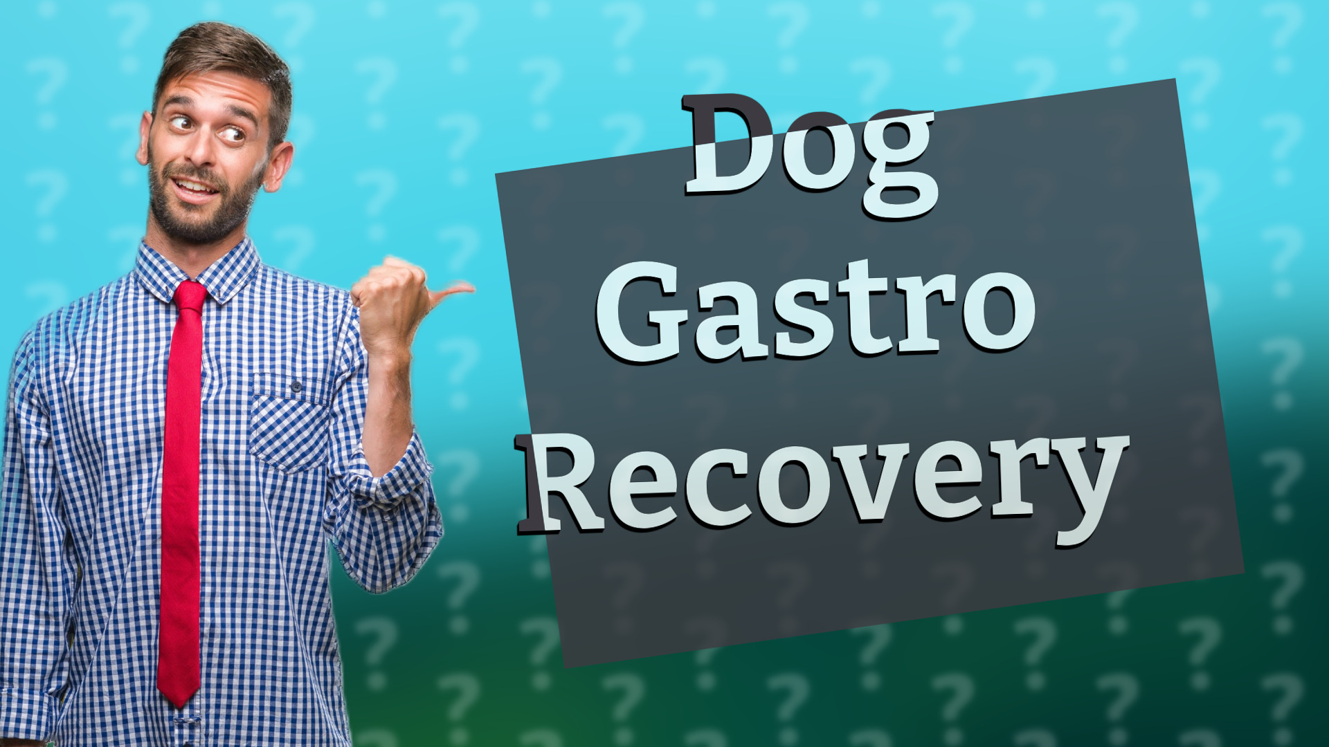 Dog Gastro Recovery