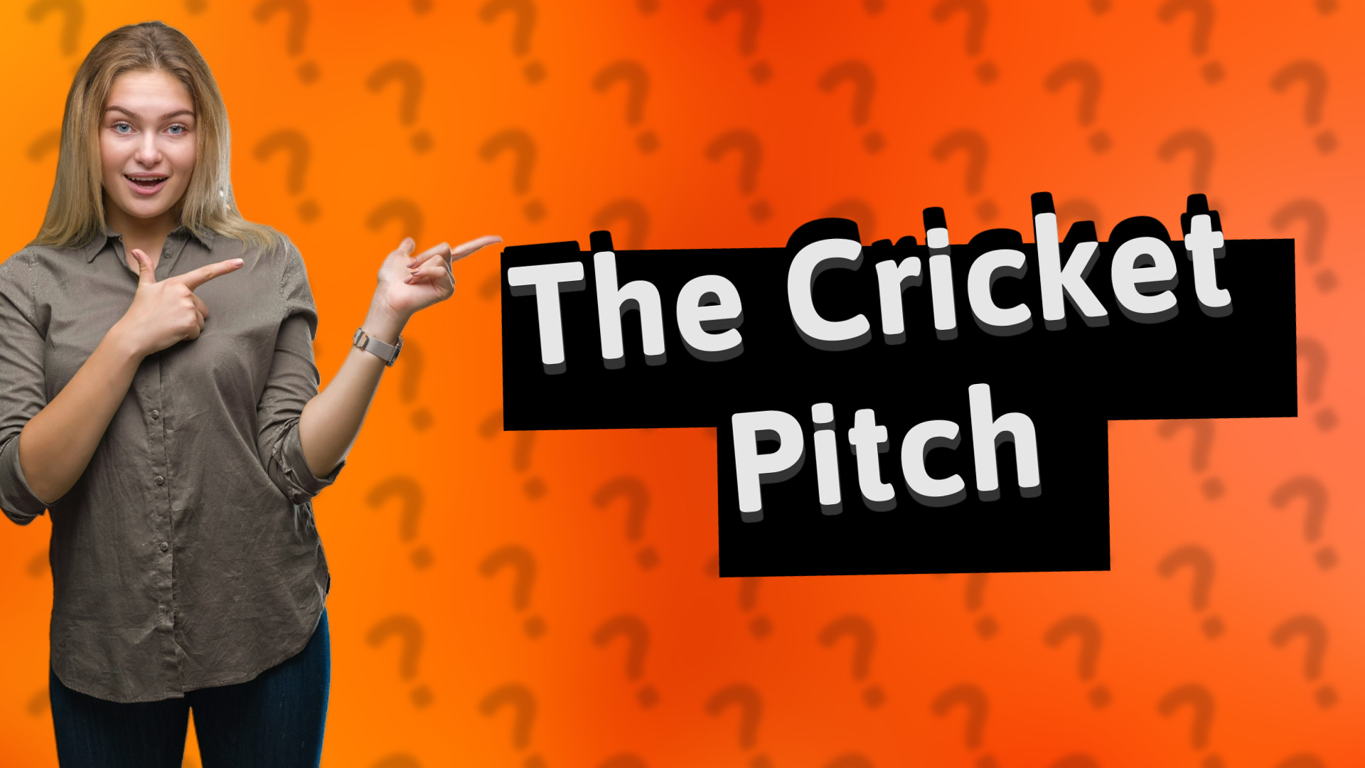 The Cricket Pitch