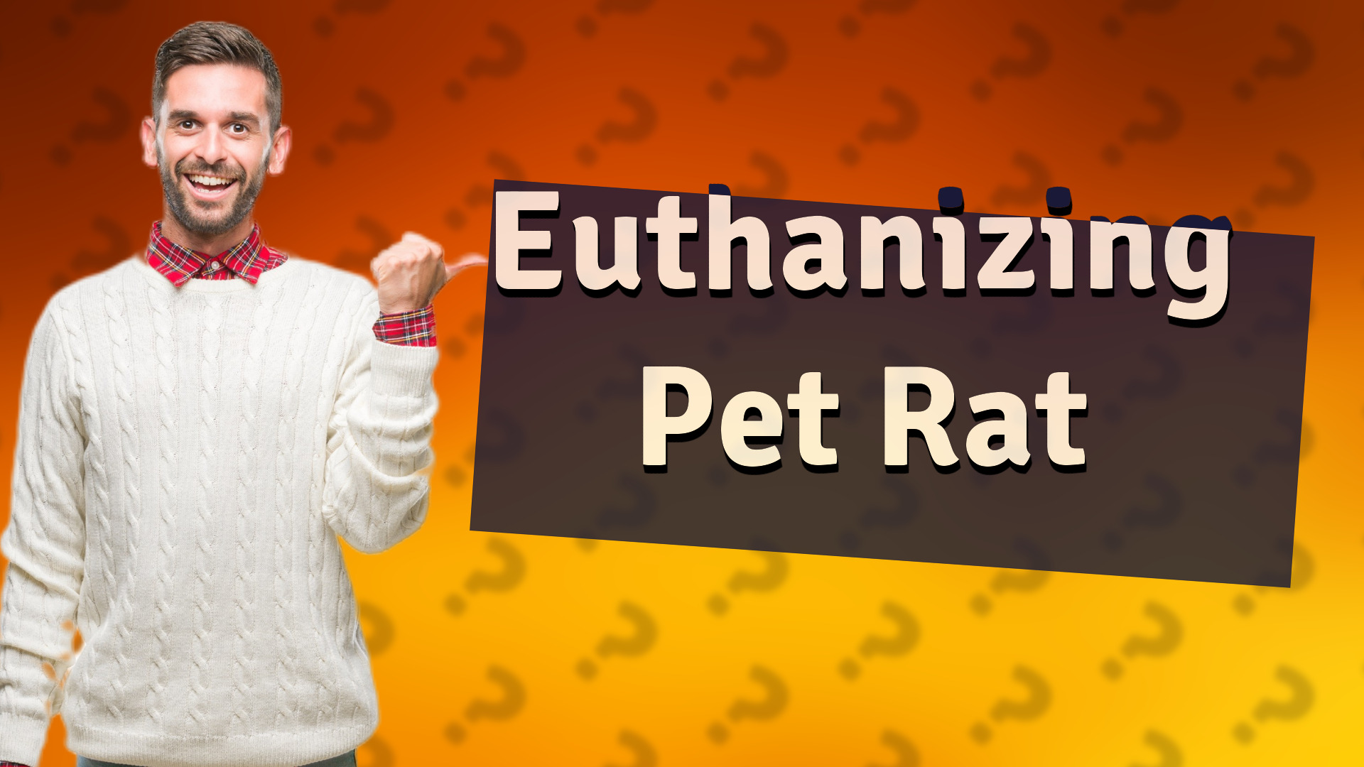 Euthanizing Pet Rat