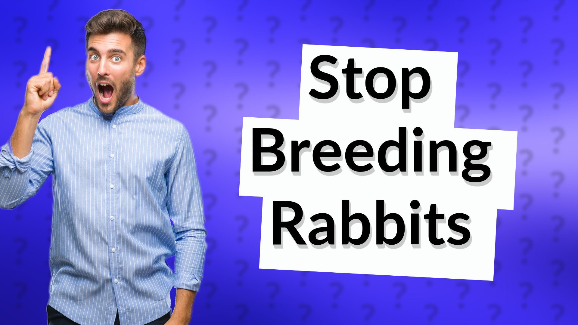Stop Breeding Rabbits