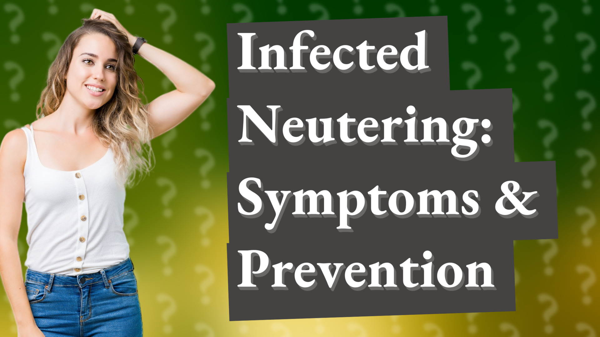 Infected Neutering: Symptoms & Prevention