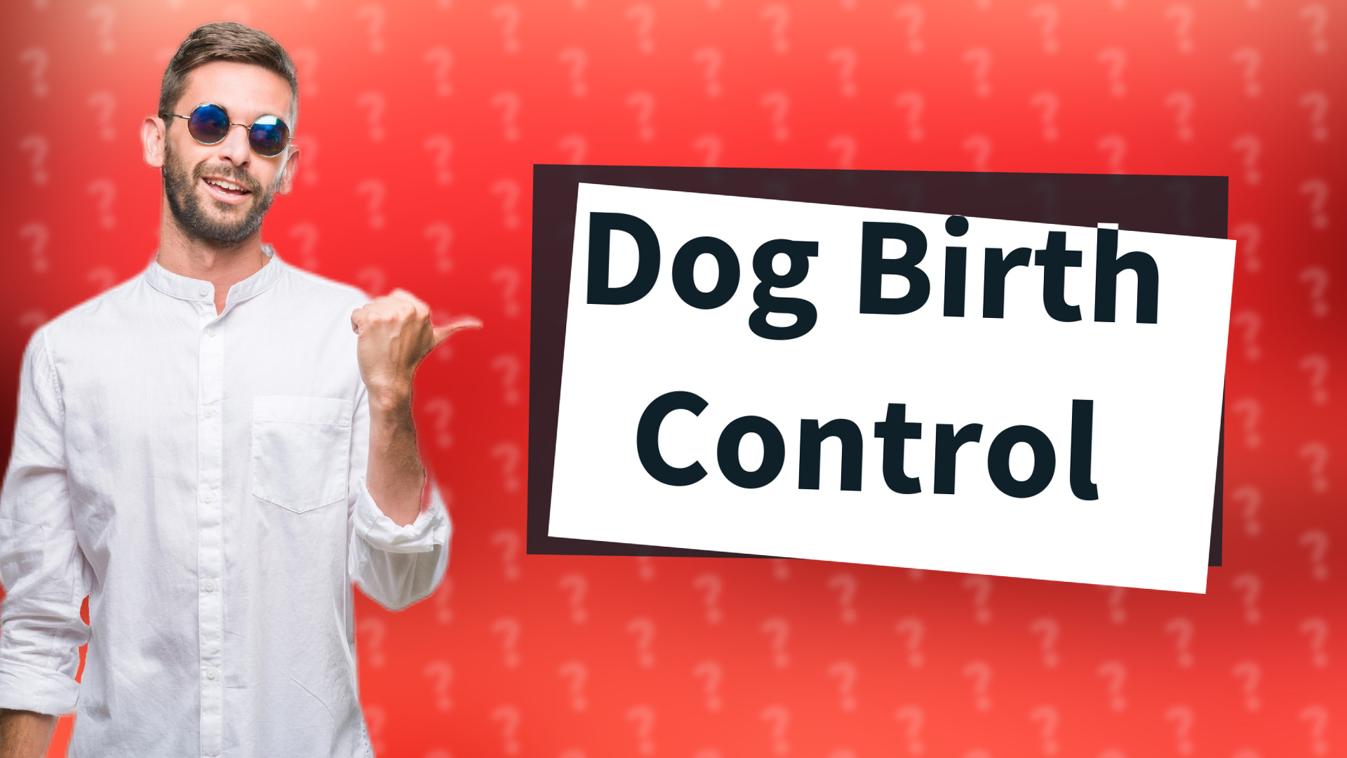Dog Birth Control
