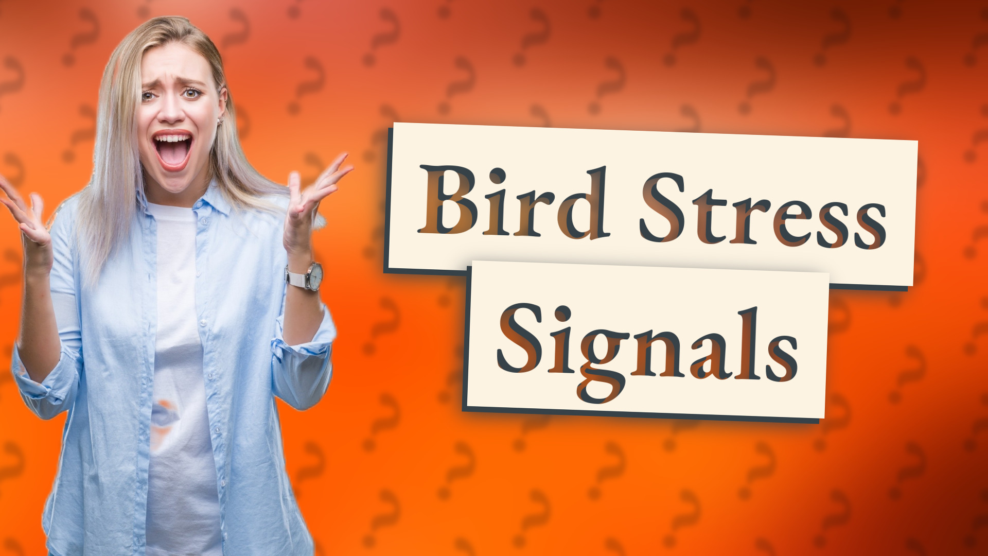 Bird Stress Signals