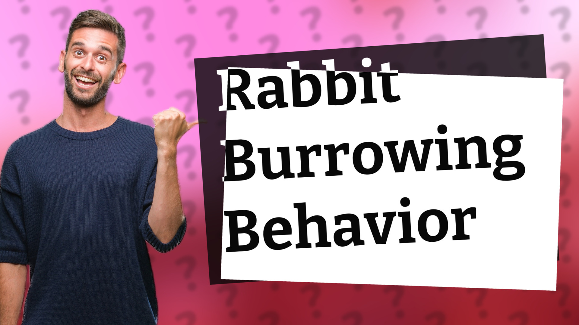 Rabbit Burrowing Behavior