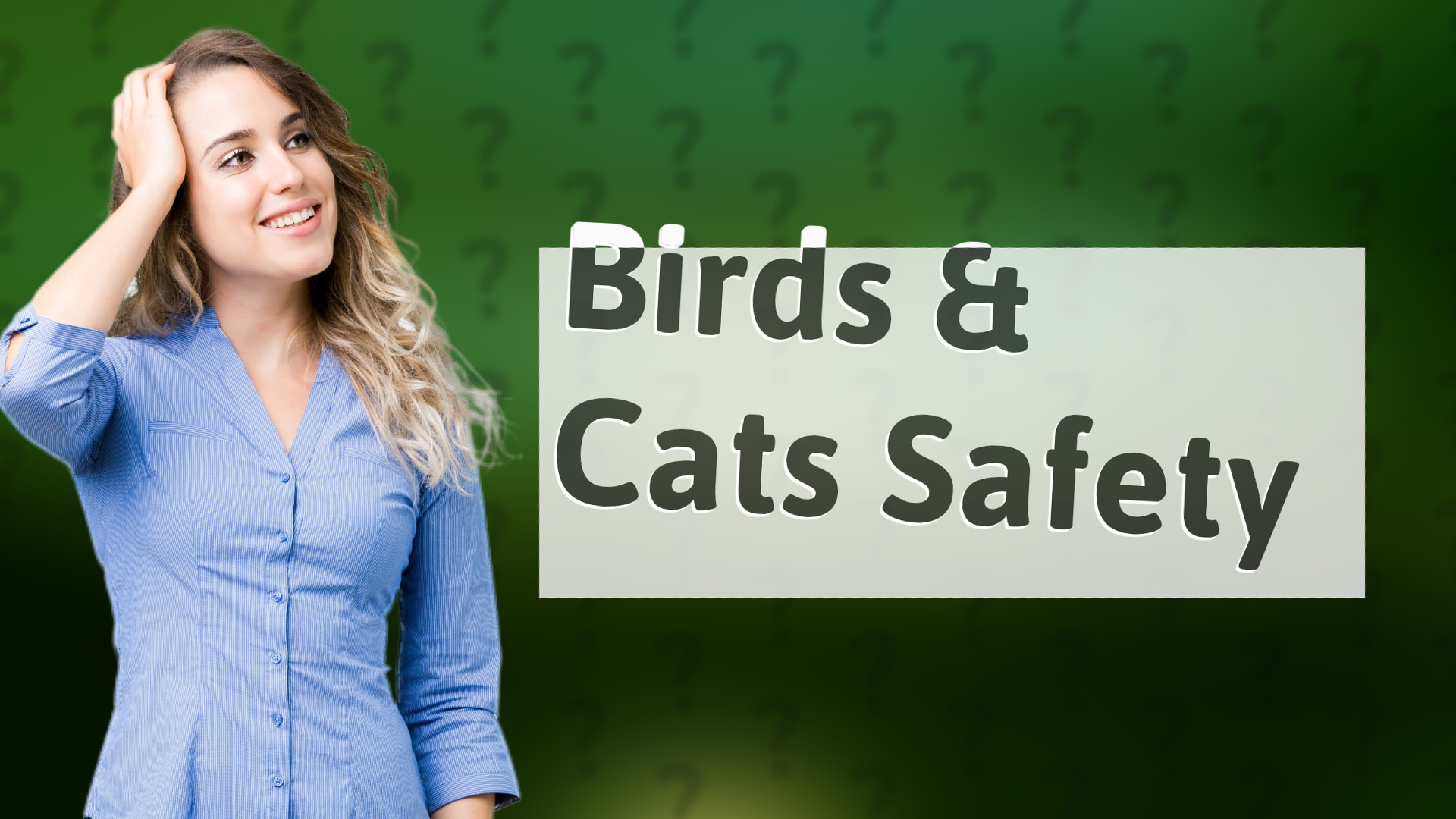 Birds & Cats Safety