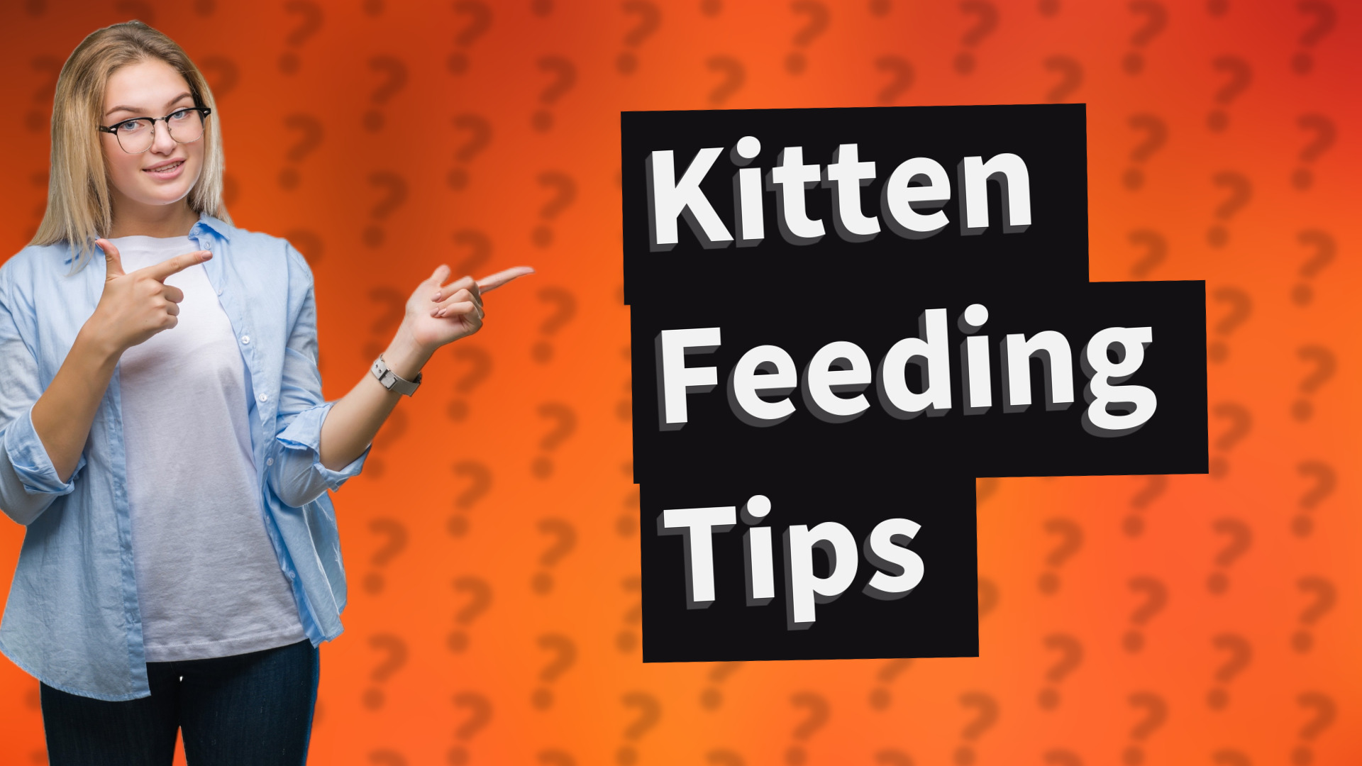 Kitten Feeding Tips