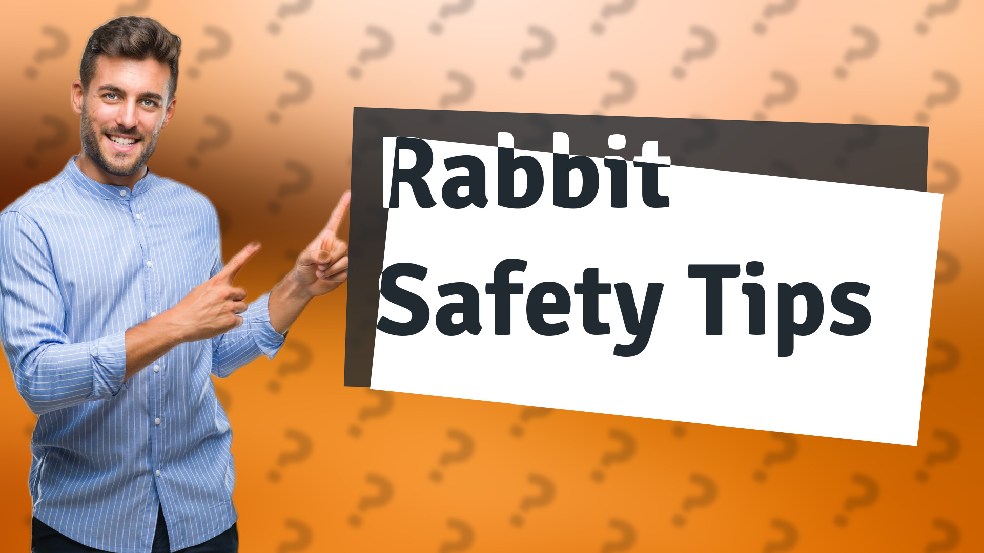 Rabbit Safety Tips