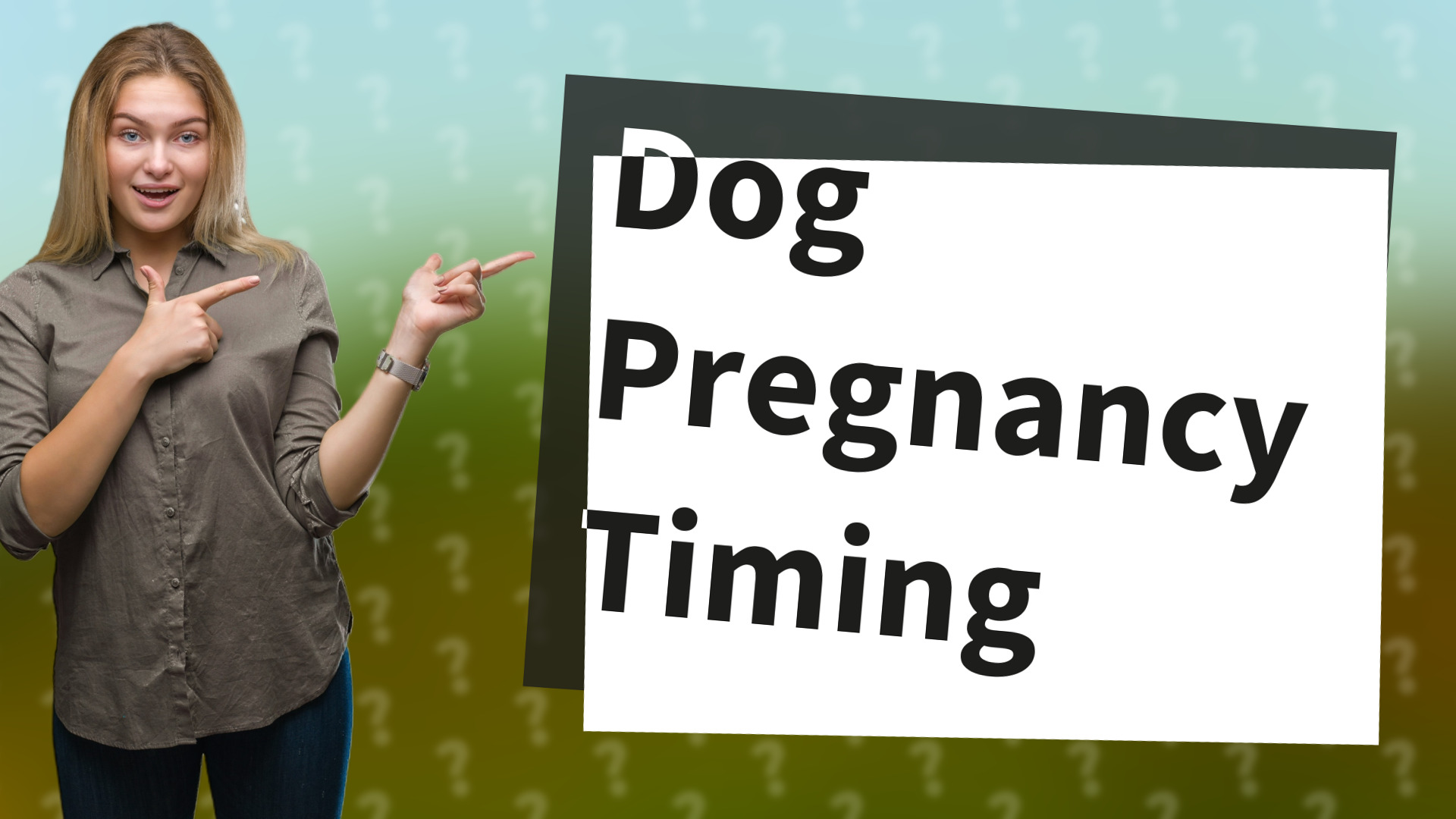 Dog Pregnancy Timing