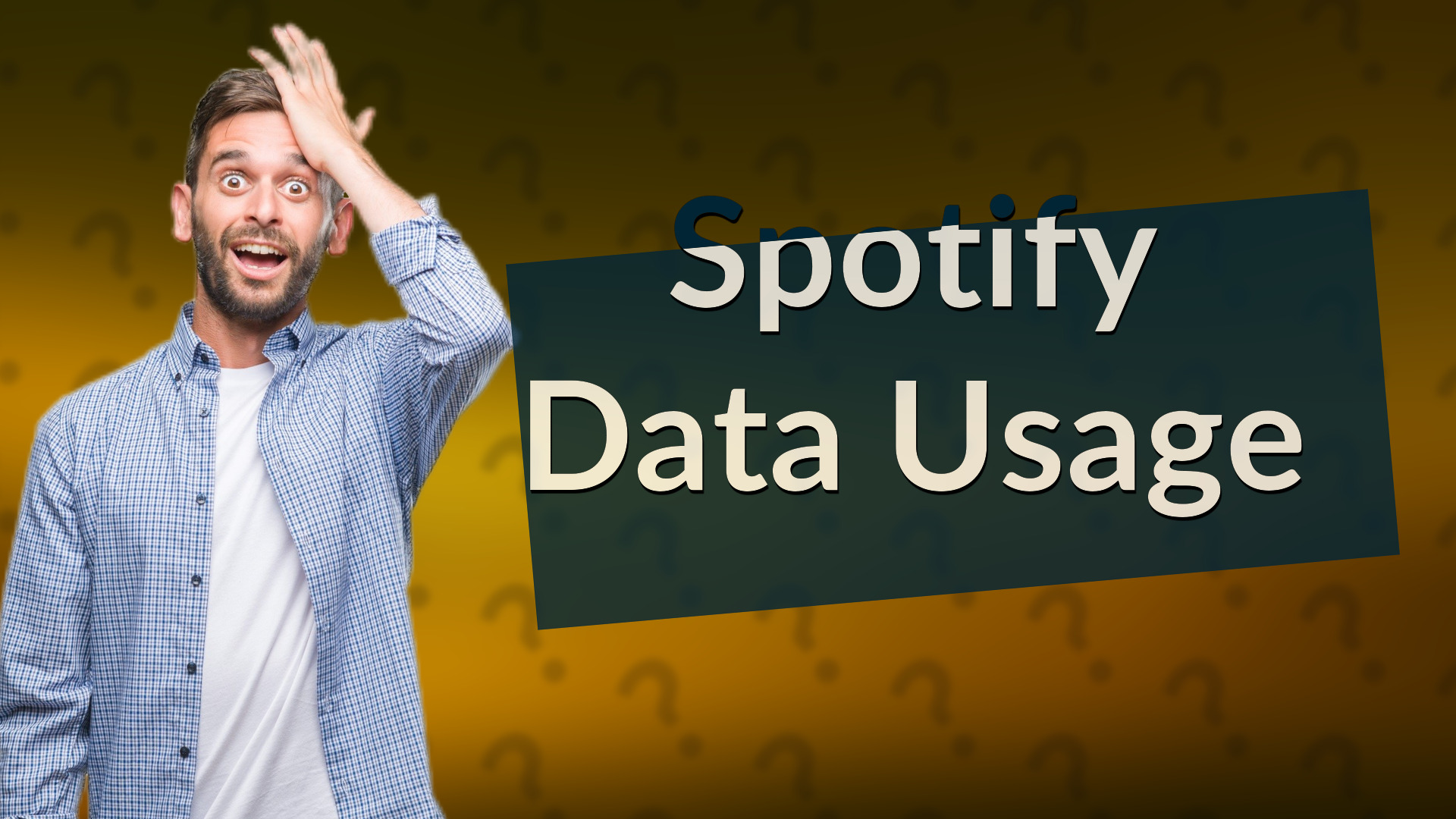 Spotify Data Usage