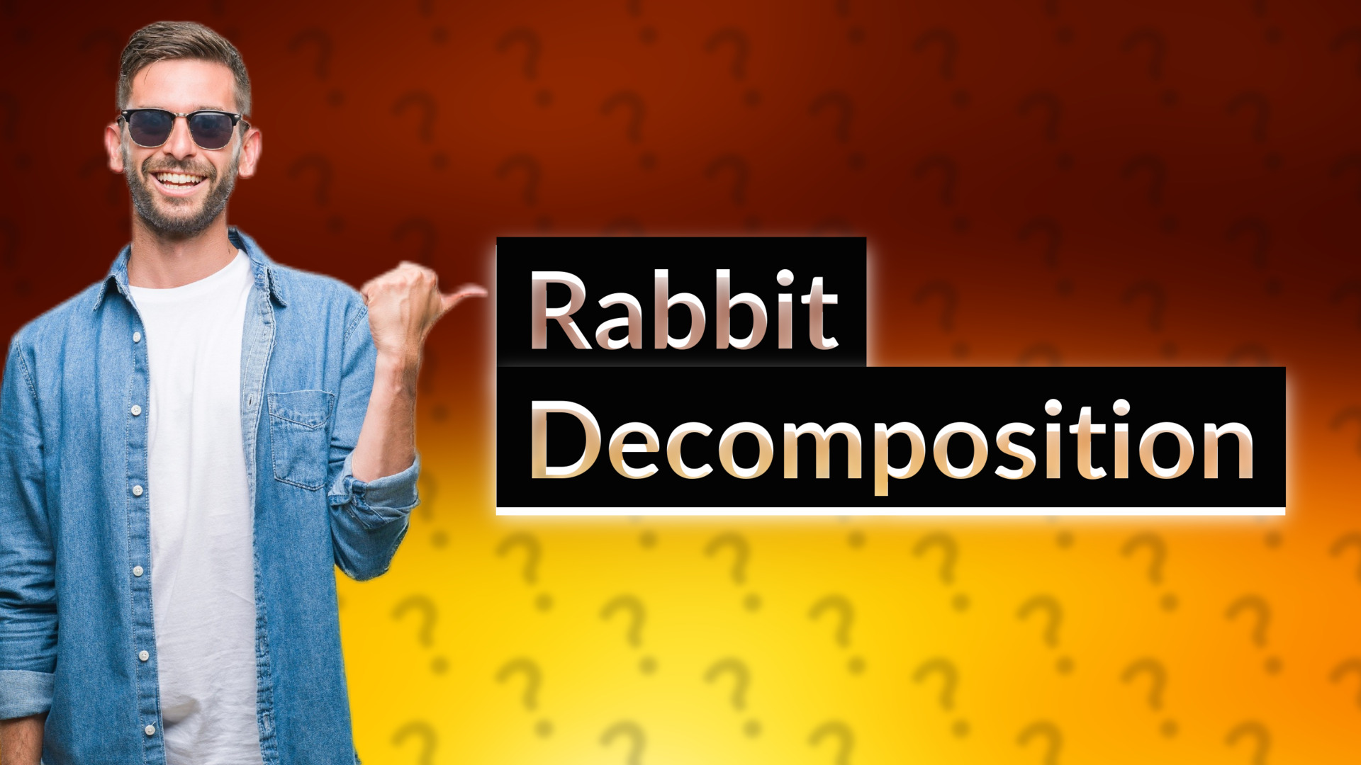 Rabbit Decomposition