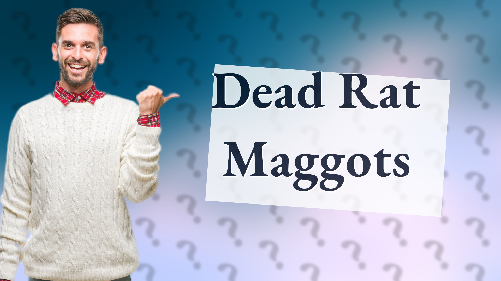 Dead Rat Maggots
