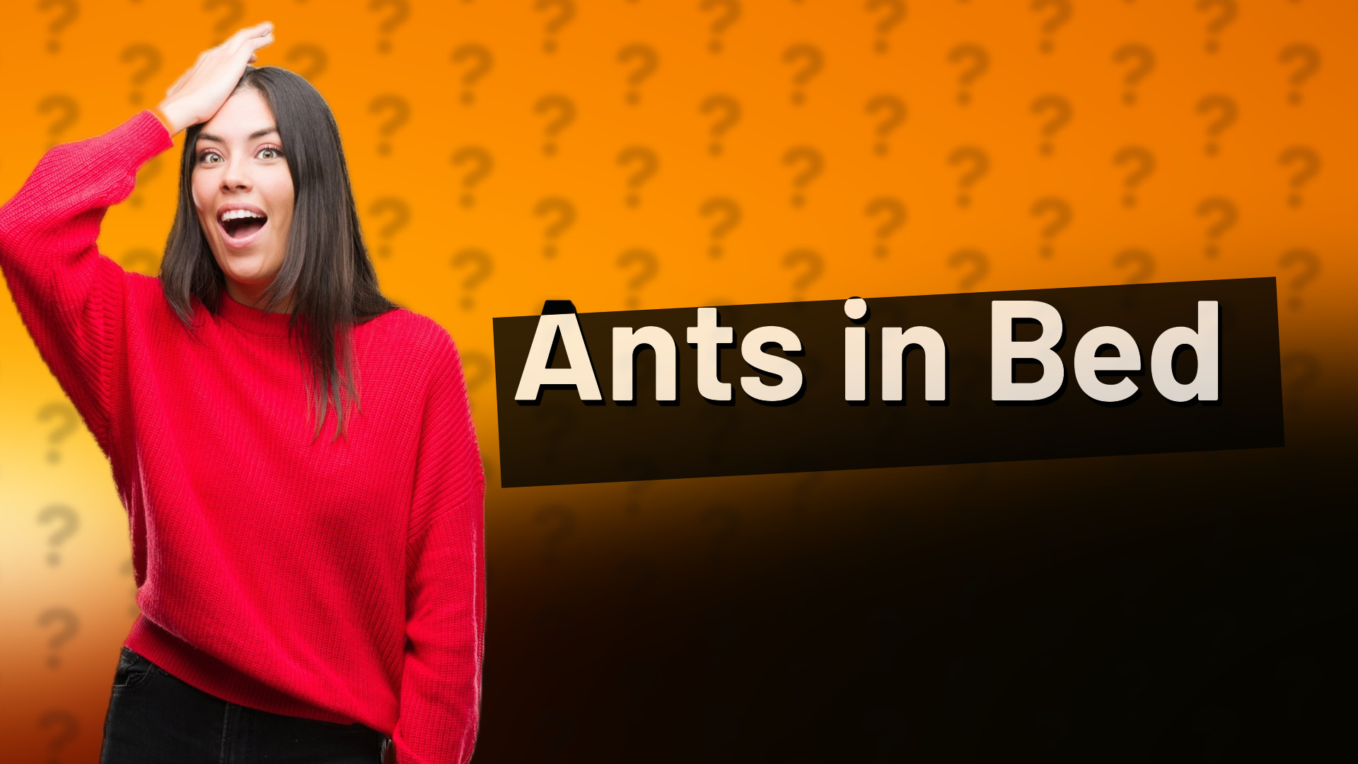 Ants in Bed