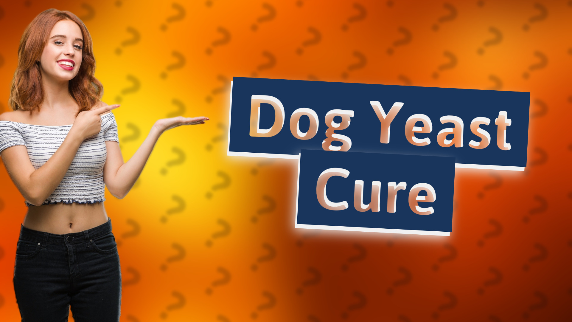Dog Yeast Cure
