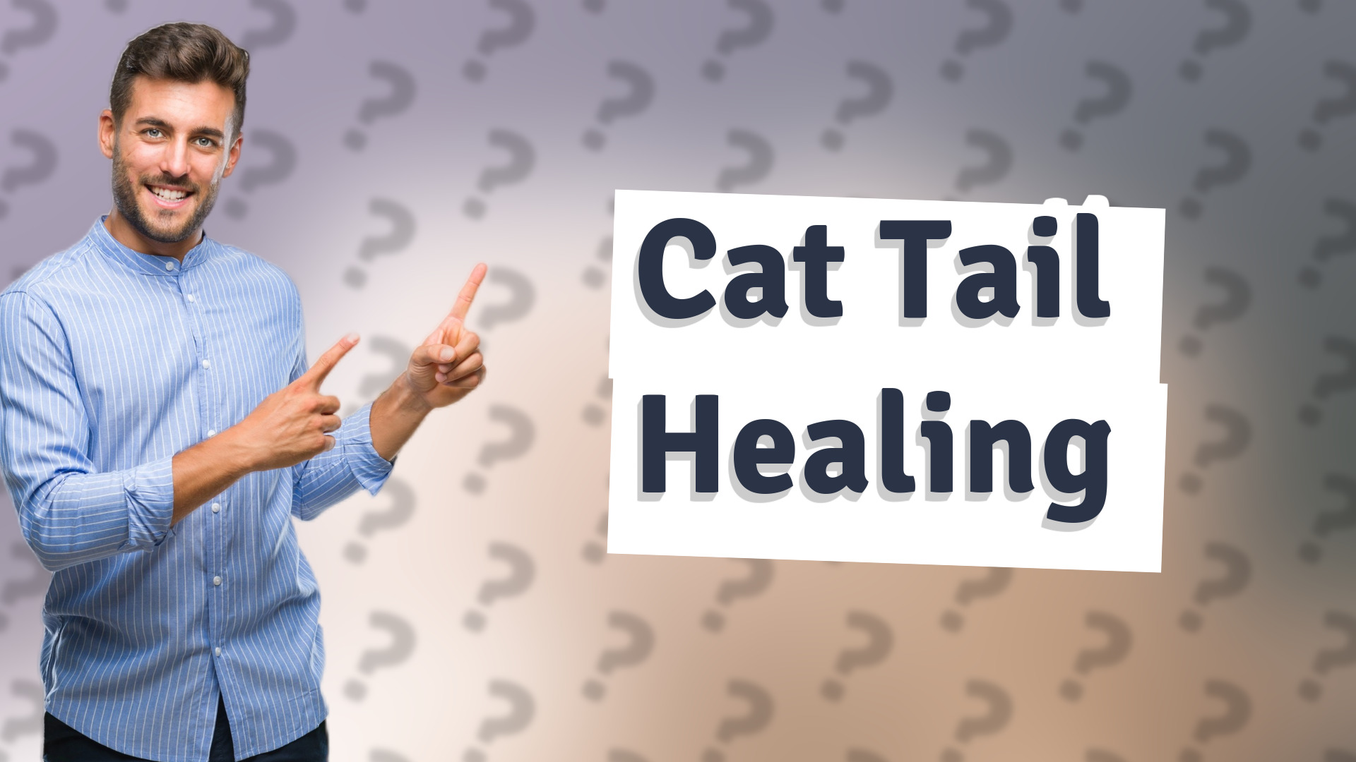 Cat Tail Healing