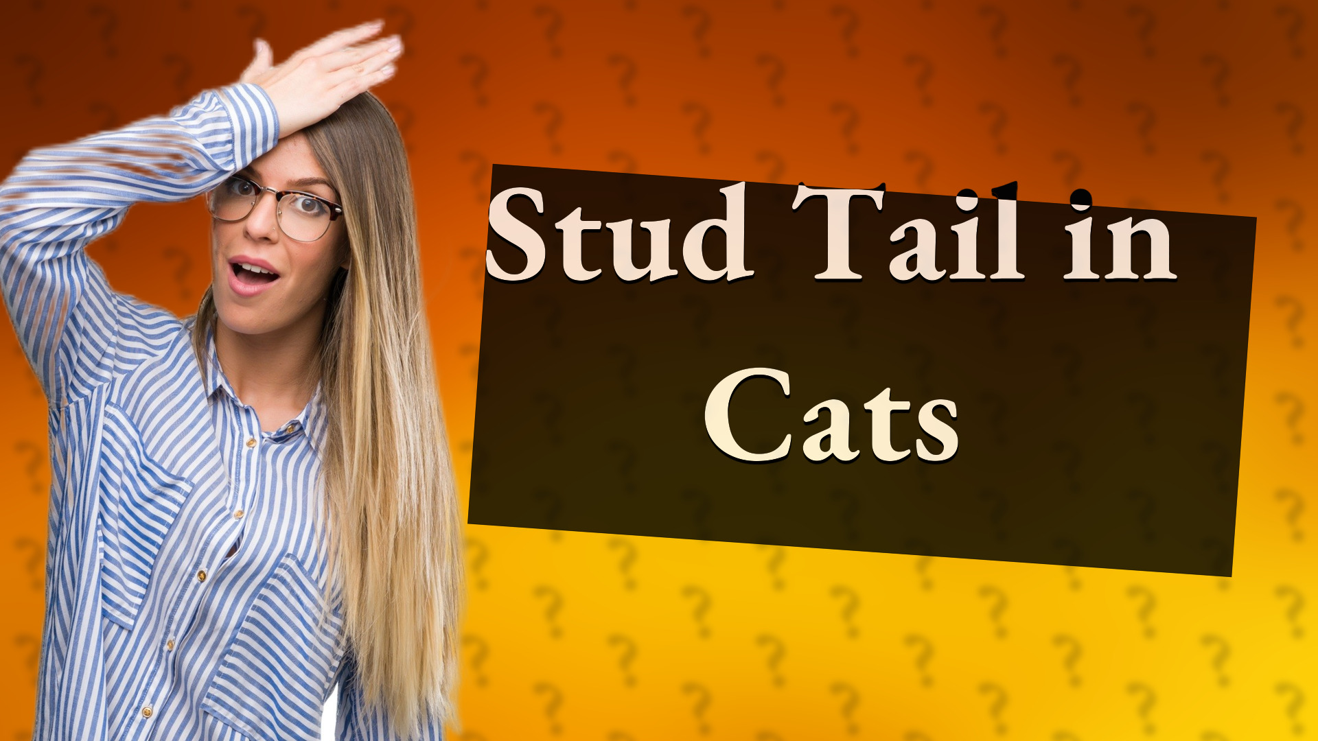 Stud Tail in Cats