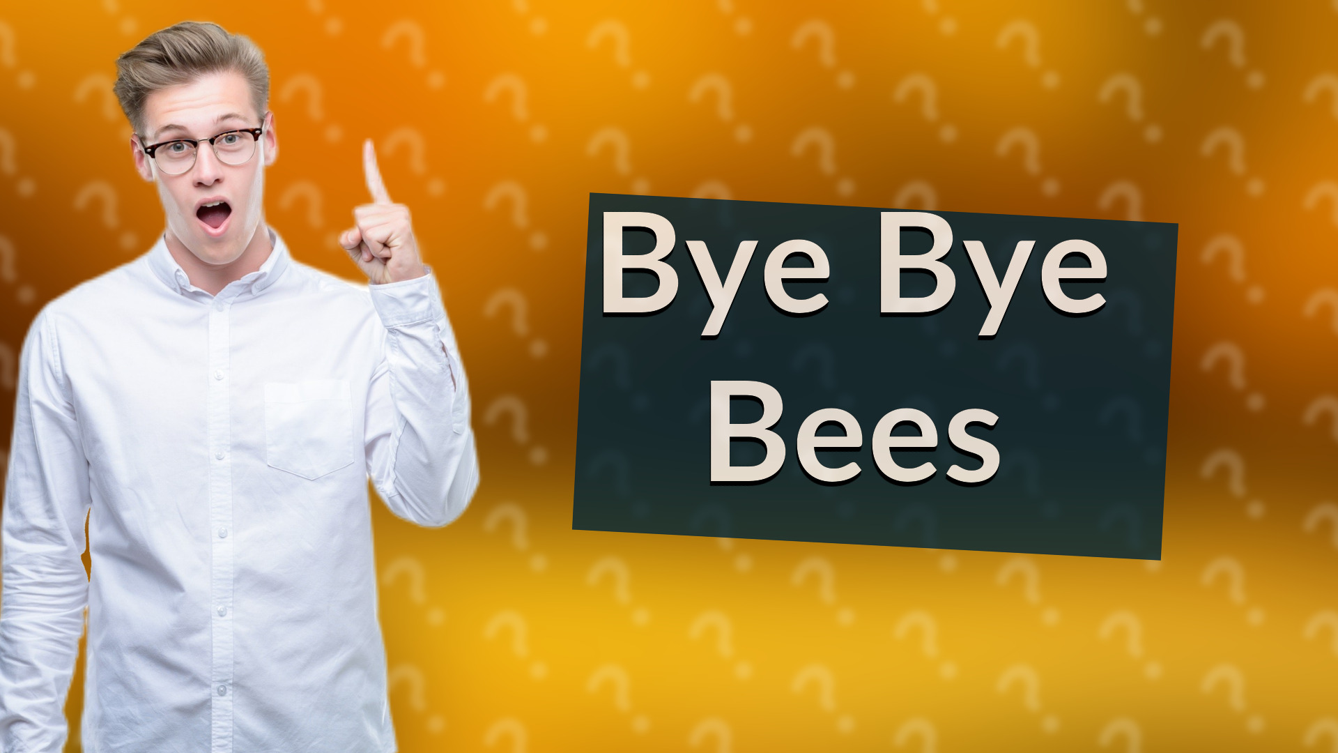 Bye Bye Bees